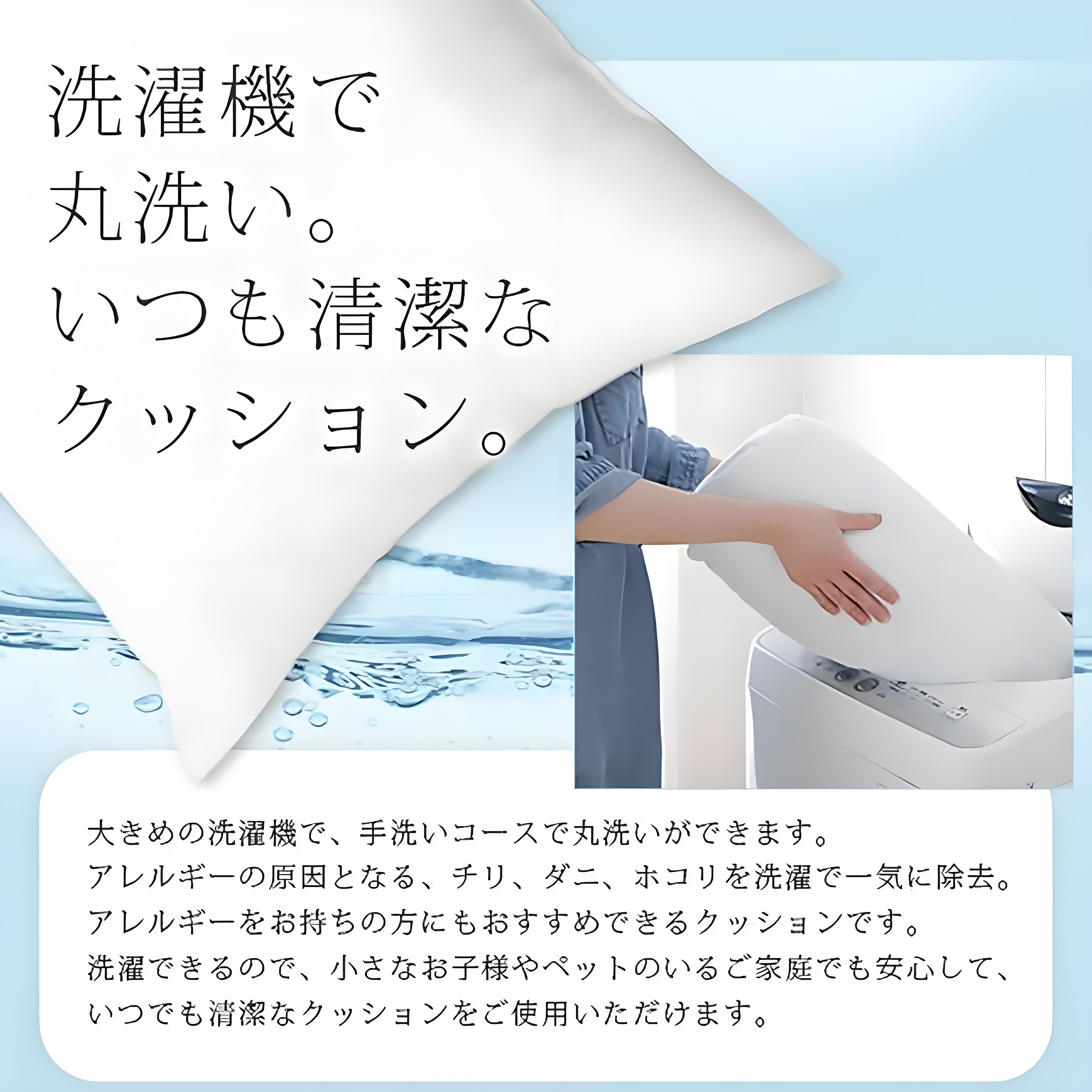 アナと雪の女王 アンナ エルサ Frozen Anna Elsa クッションカバー＆本体セット（ポリエステル素材）