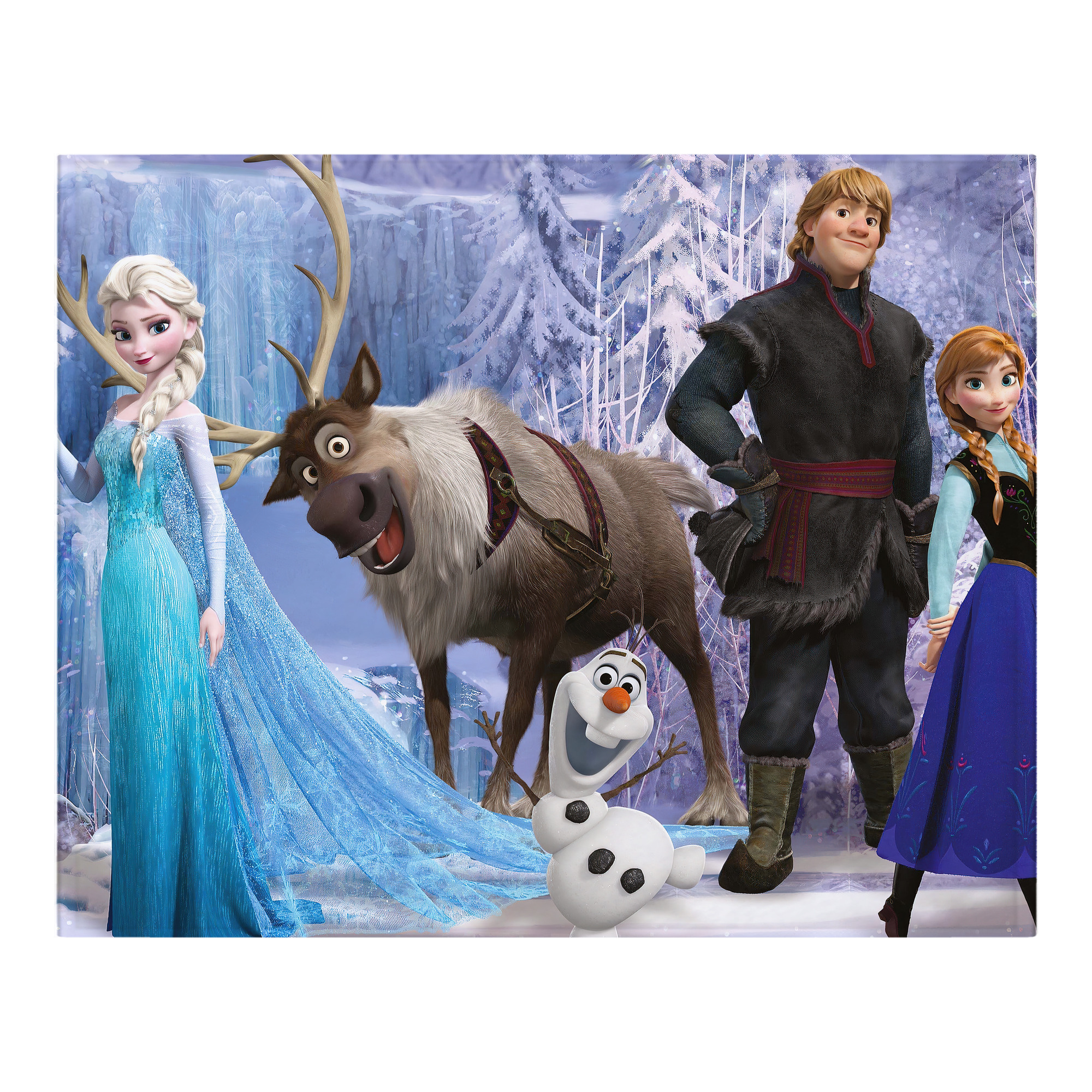 （画像用） アナと雪の女王 アンナ エルサ Frozen Anna Elsa フランネルブランケット・多サイズ対応（横型）