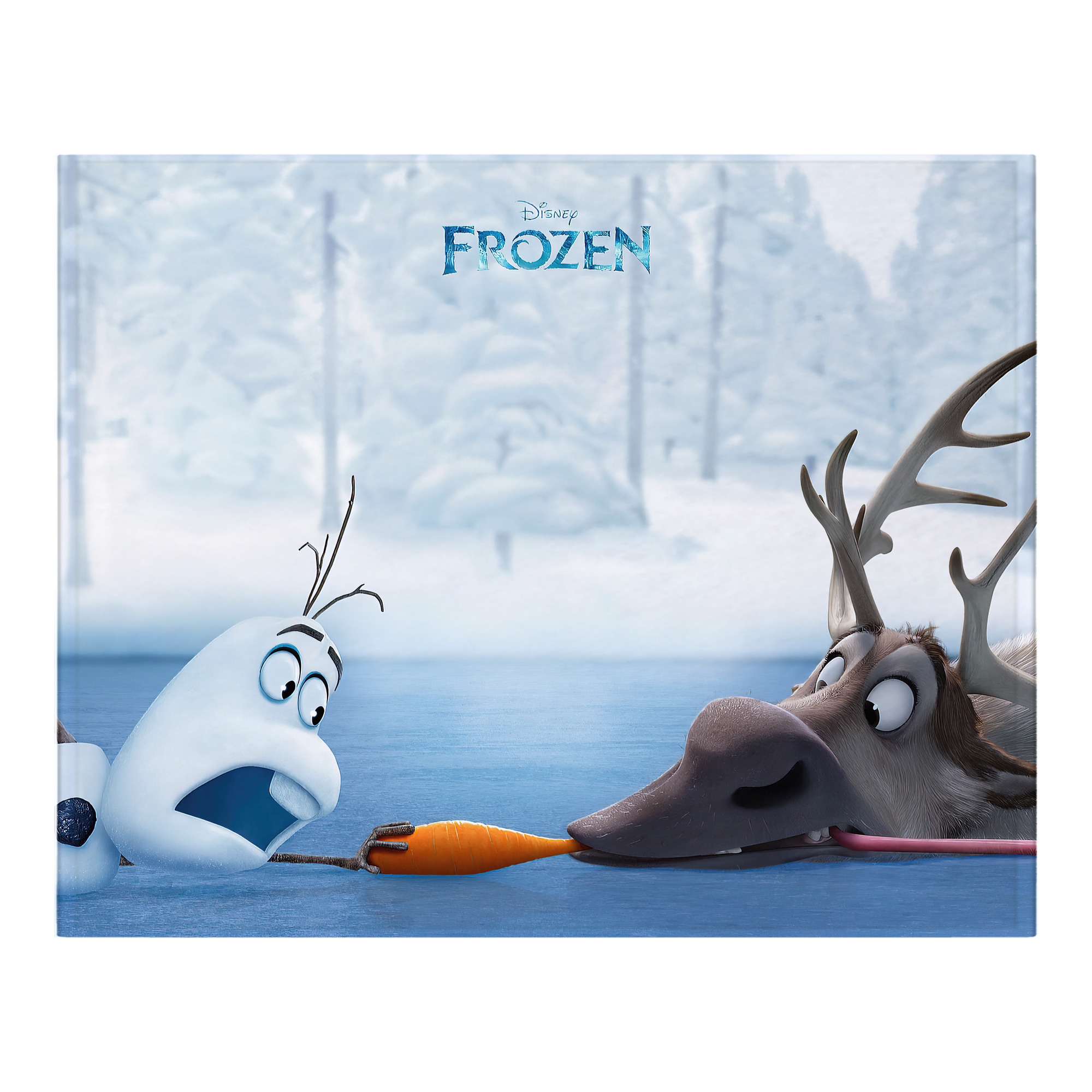 （画像用） アナと雪の女王 アンナ エルサ Frozen Anna Elsa フランネルブランケット・多サイズ対応（横型）