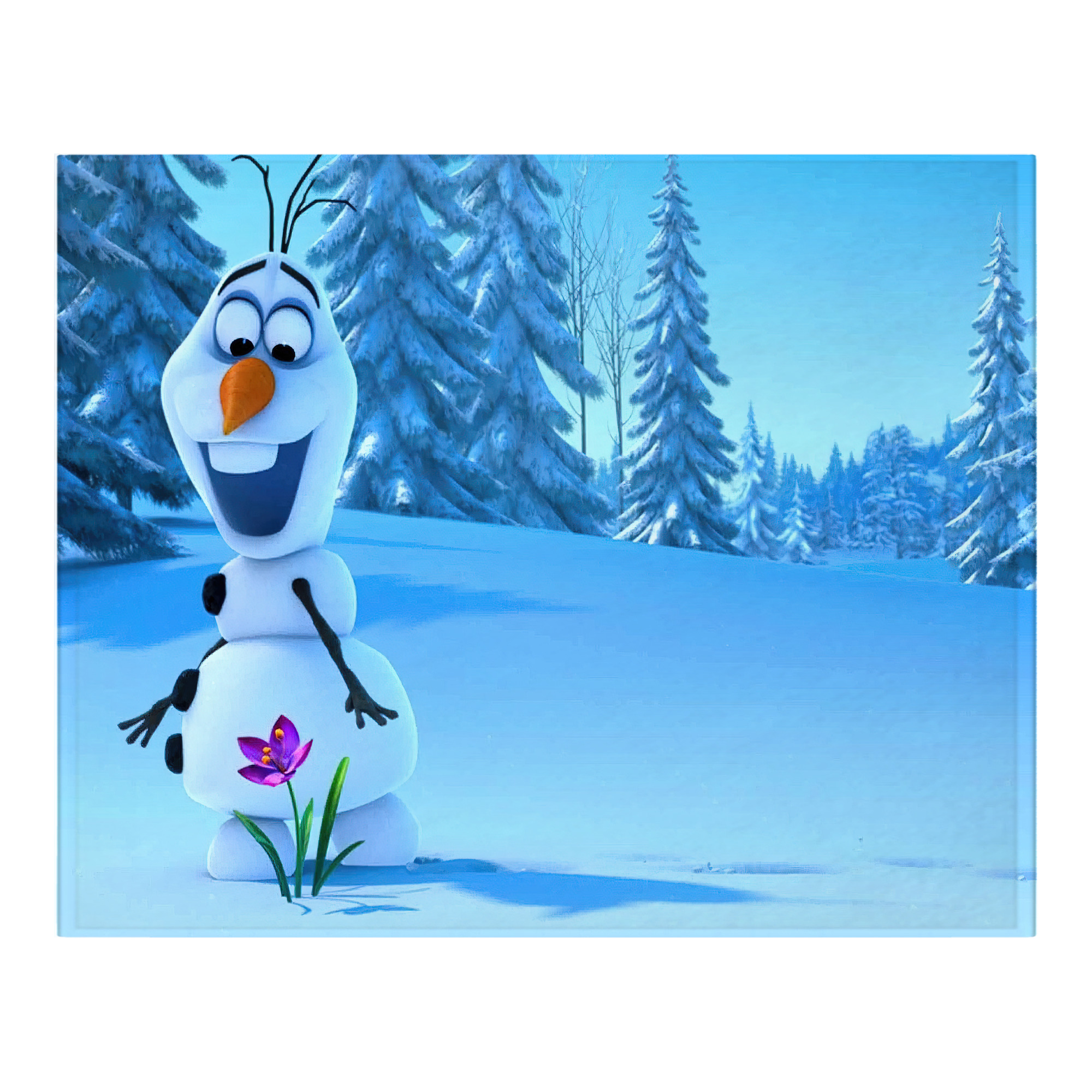 （画像用） アナと雪の女王 アンナ エルサ Frozen Anna Elsa フランネルブランケット・多サイズ対応（横型）