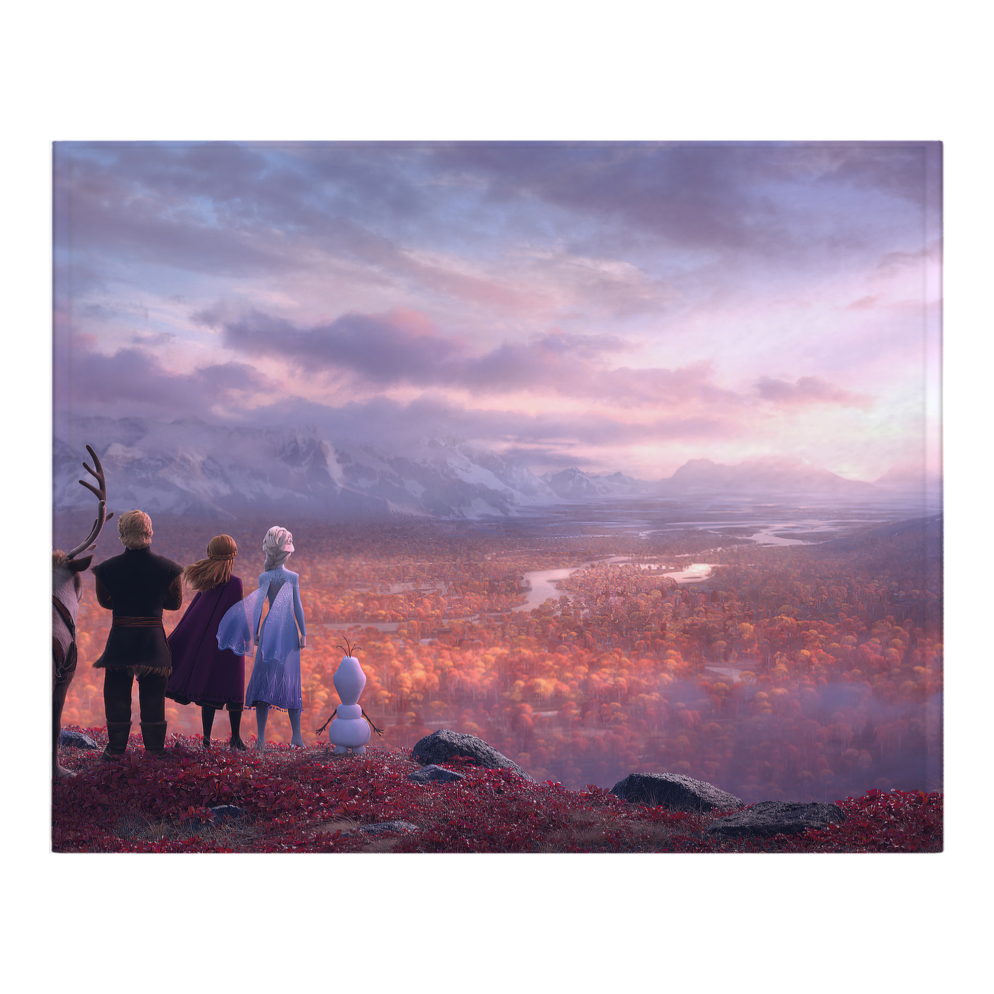 （画像用） アナと雪の女王 アンナ エルサ Frozen Anna Elsa フランネルブランケット・多サイズ対応（横型）