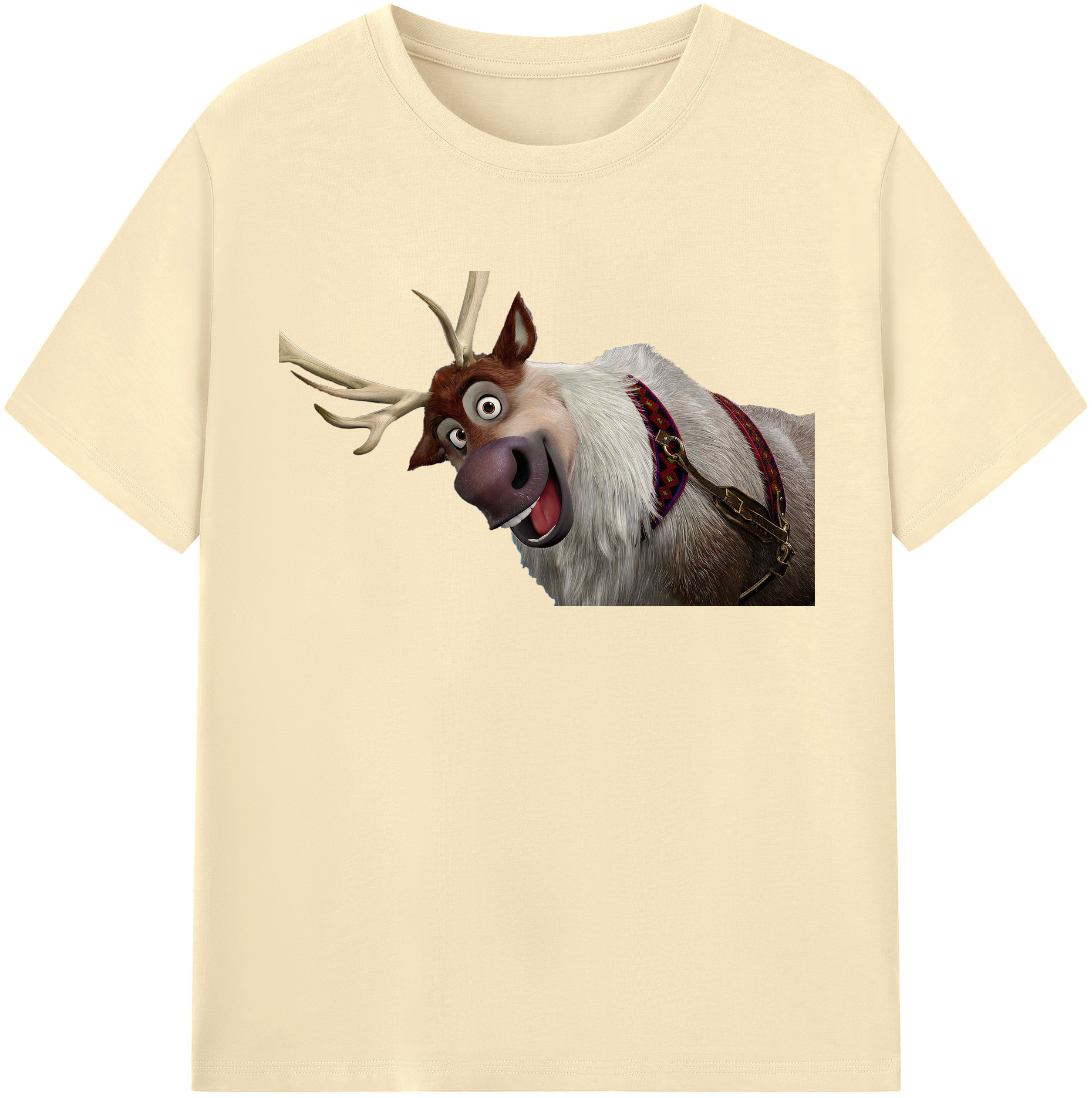 （画像用） アナと雪の女王 アンナ エルサ Frozen Anna Elsa 綿100％半袖Tシャツ（フロントプリント）