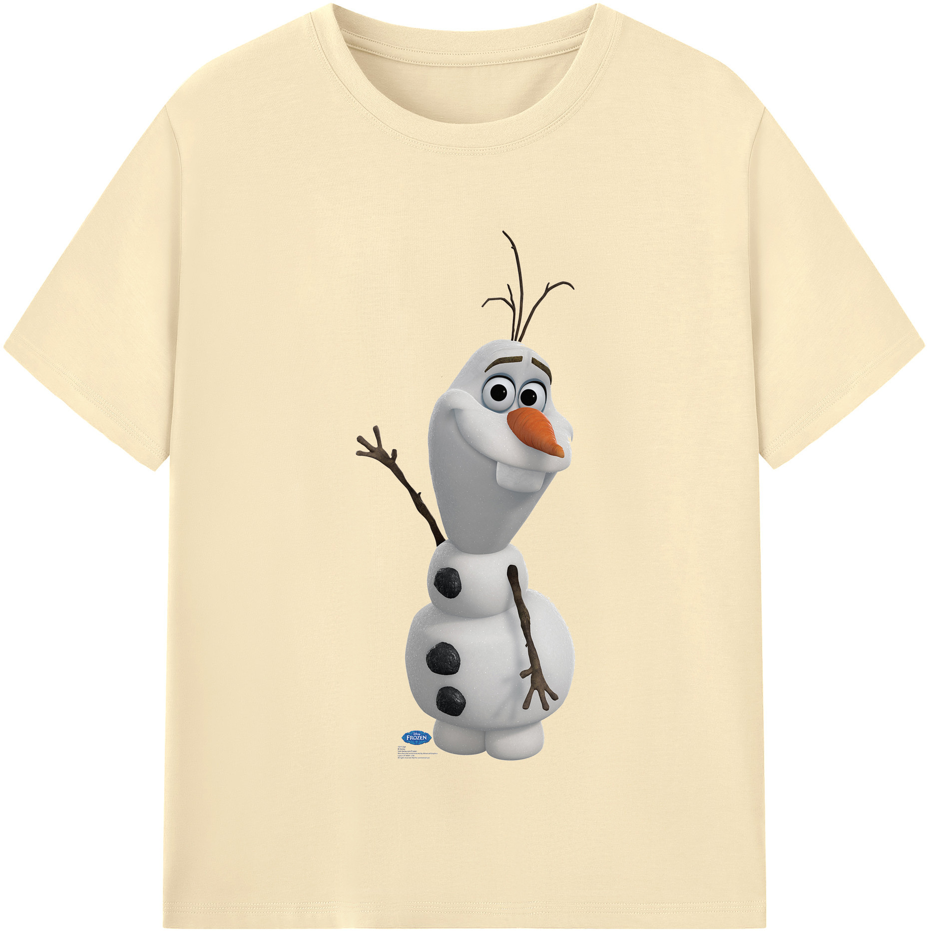 （画像用） アナと雪の女王 アンナ エルサ Frozen Anna Elsa 綿100％半袖Tシャツ（フロントプリント）