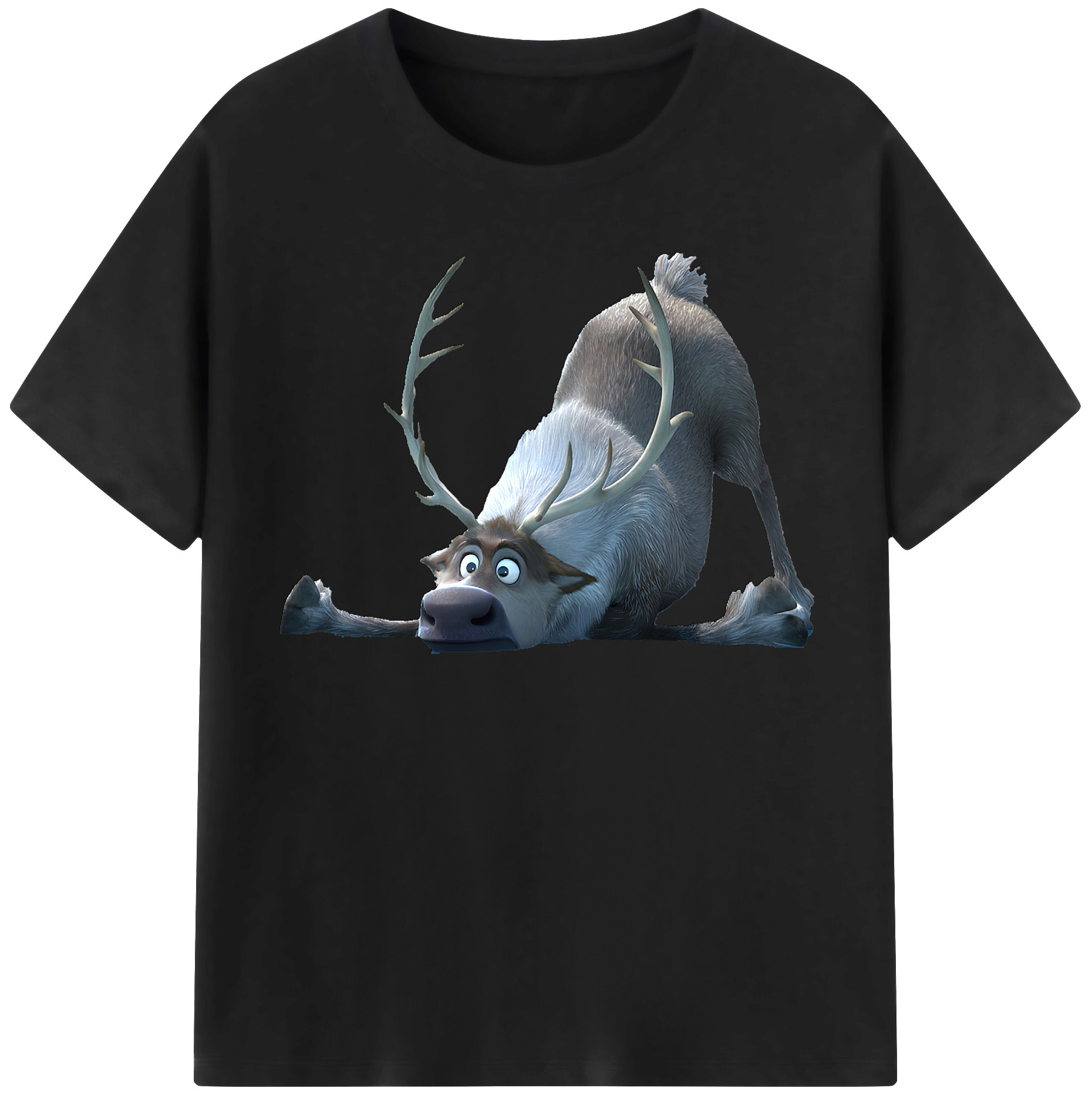 （画像用） アナと雪の女王 アンナ エルサ Frozen Anna Elsa 綿100％半袖Tシャツ（フロントプリント）