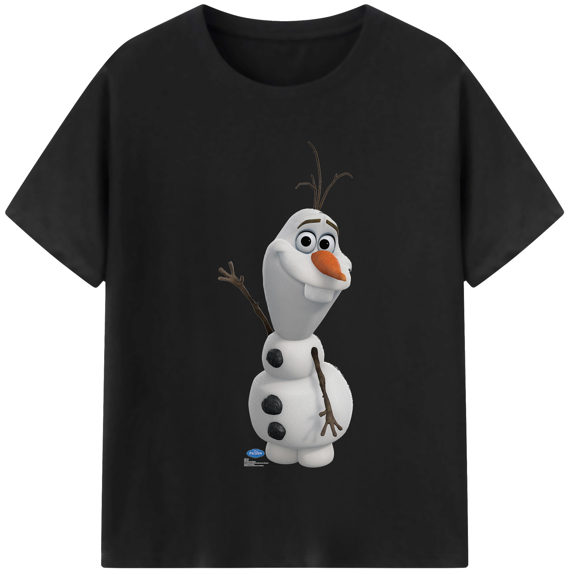 （画像用） アナと雪の女王 アンナ エルサ Frozen Anna Elsa 綿100％半袖Tシャツ（フロントプリント）