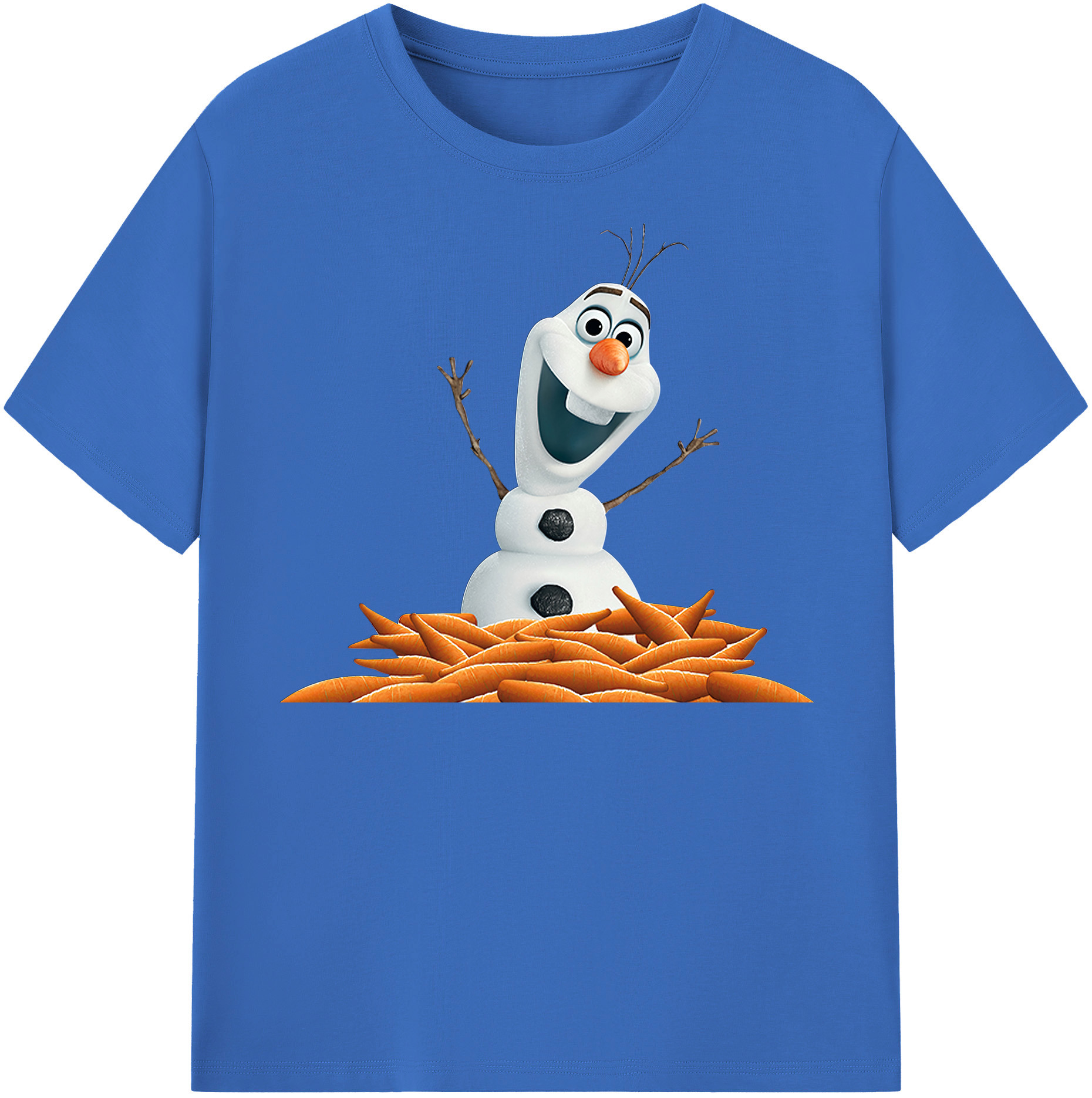 （画像用） アナと雪の女王 アンナ エルサ Frozen Anna Elsa 綿100％半袖Tシャツ（フロントプリント）
