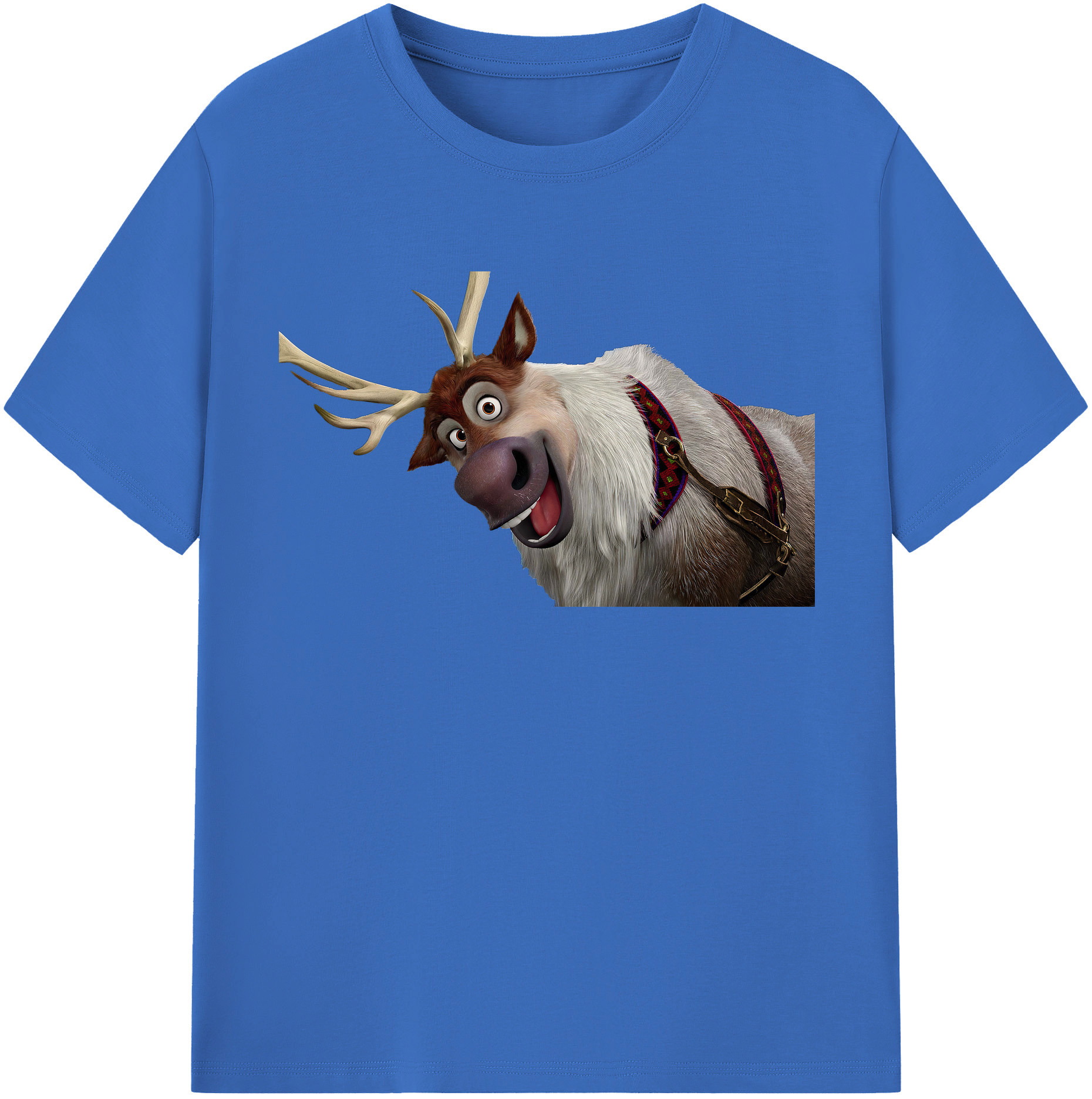 （画像用） アナと雪の女王 アンナ エルサ Frozen Anna Elsa 綿100％半袖Tシャツ（フロントプリント）