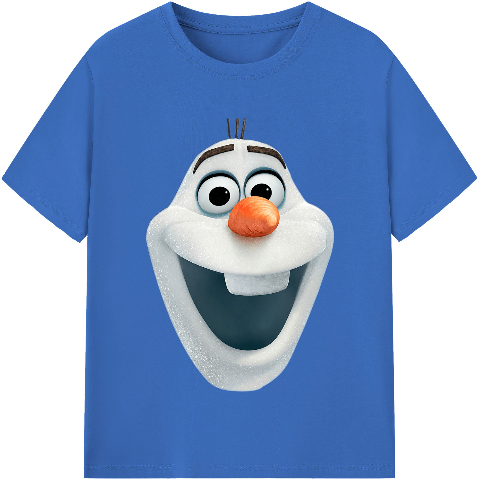 （画像用） アナと雪の女王 アンナ エルサ Frozen Anna Elsa 綿100％半袖Tシャツ（フロントプリント）