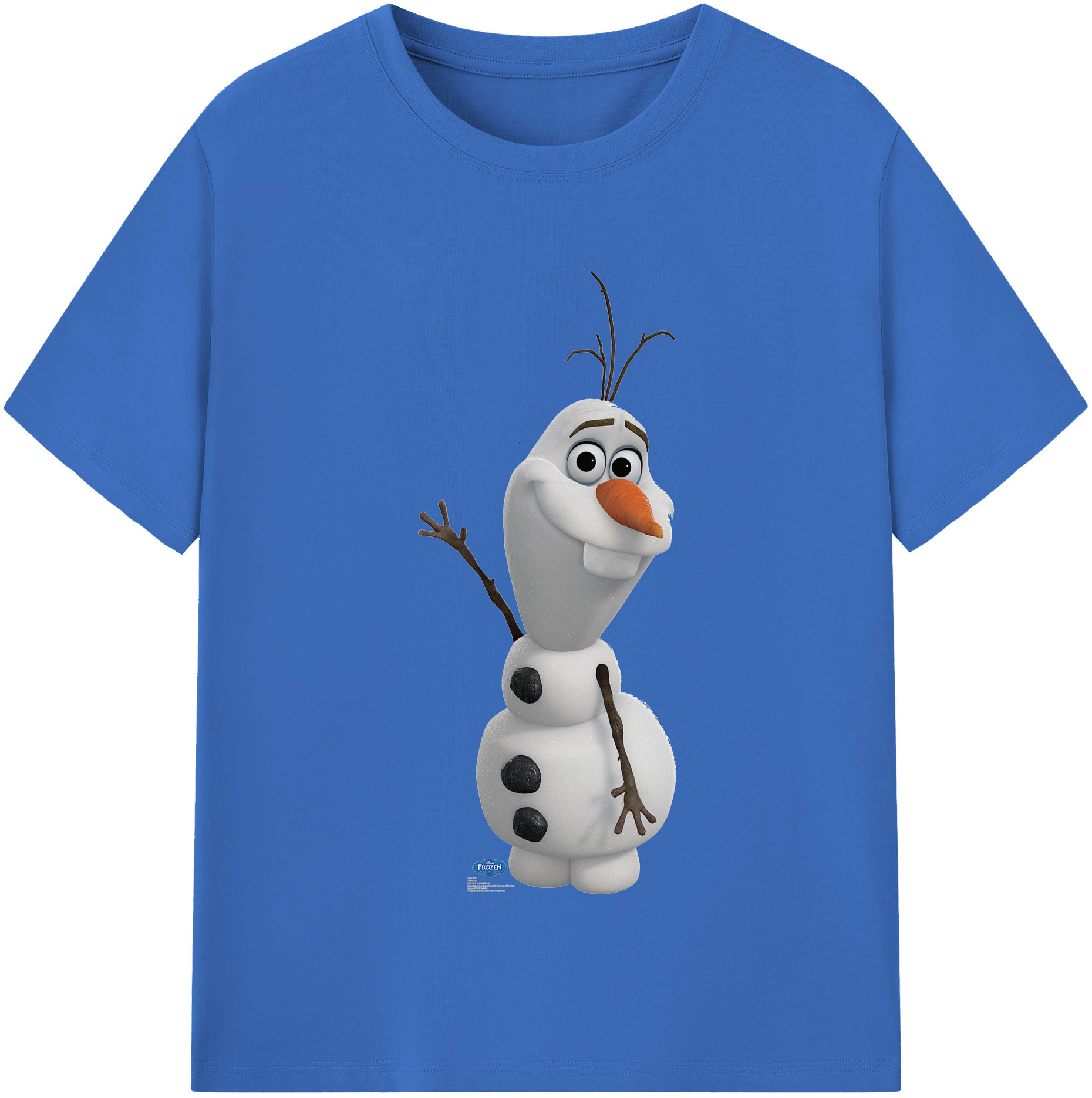 （画像用） アナと雪の女王 アンナ エルサ Frozen Anna Elsa 綿100％半袖Tシャツ（フロントプリント）