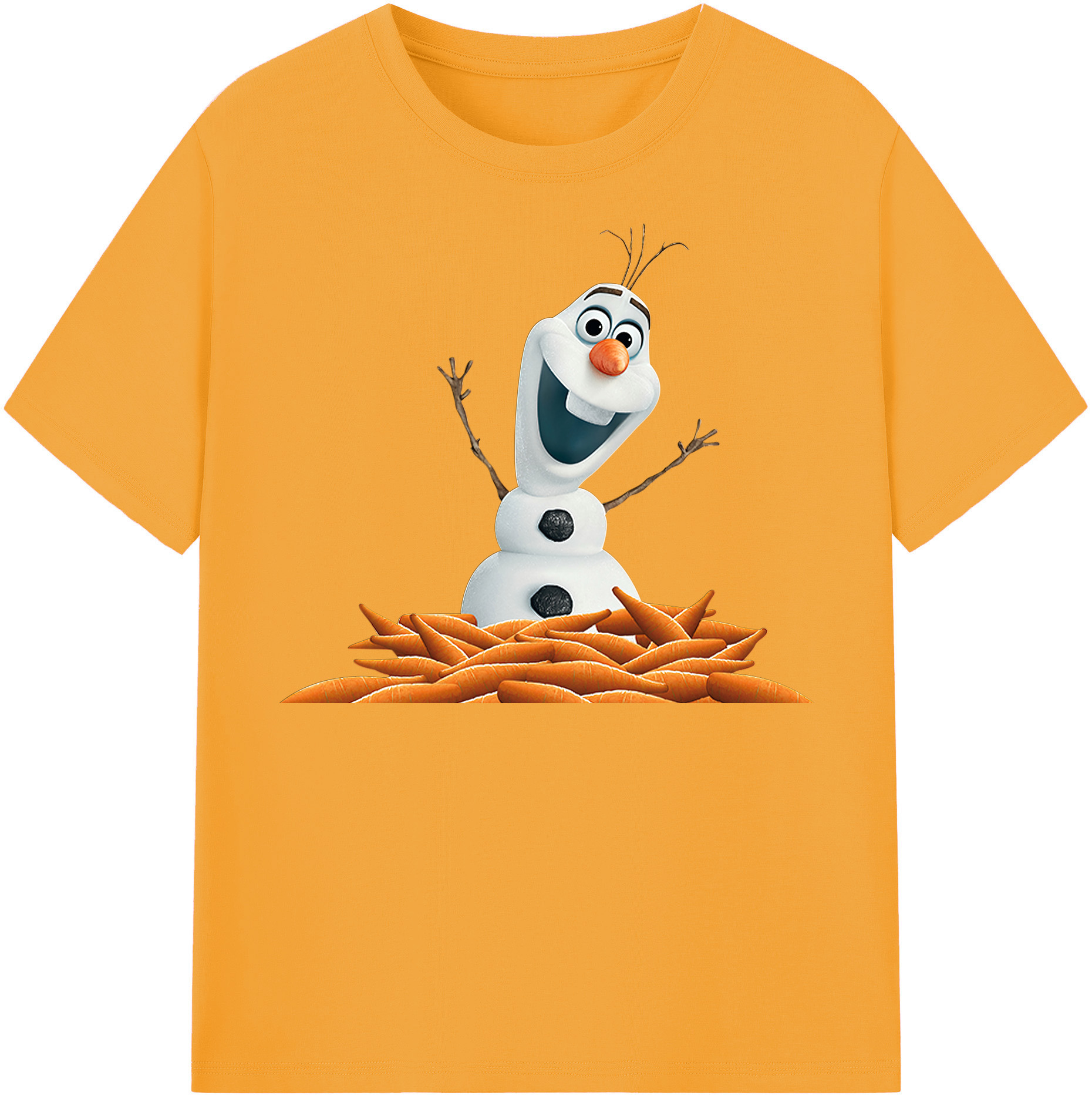 （画像用） アナと雪の女王 アンナ エルサ Frozen Anna Elsa 綿100％半袖Tシャツ（フロントプリント）