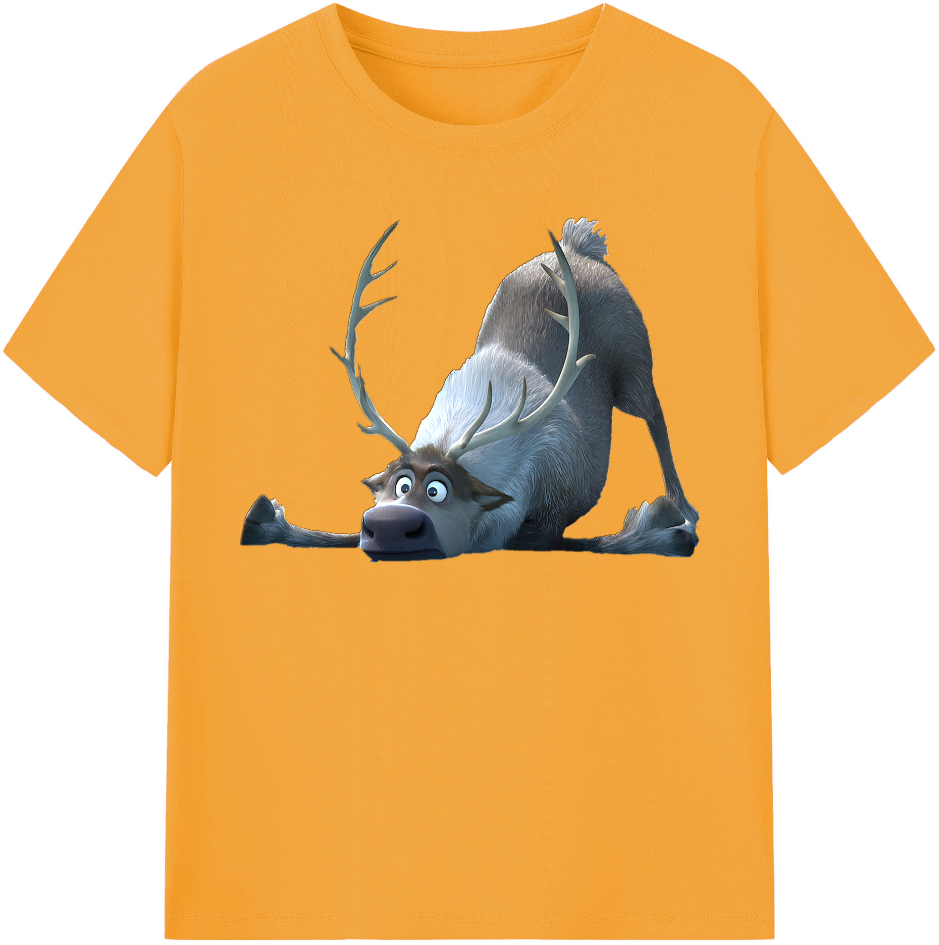 （画像用） アナと雪の女王 アンナ エルサ Frozen Anna Elsa 綿100％半袖Tシャツ（フロントプリント）