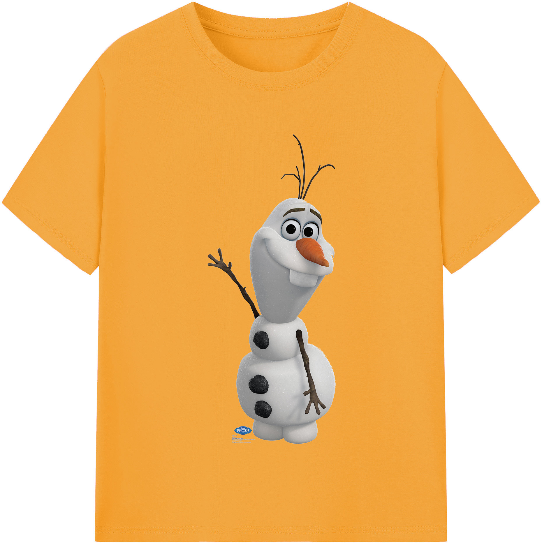 （画像用） アナと雪の女王 アンナ エルサ Frozen Anna Elsa 綿100％半袖Tシャツ（フロントプリント）