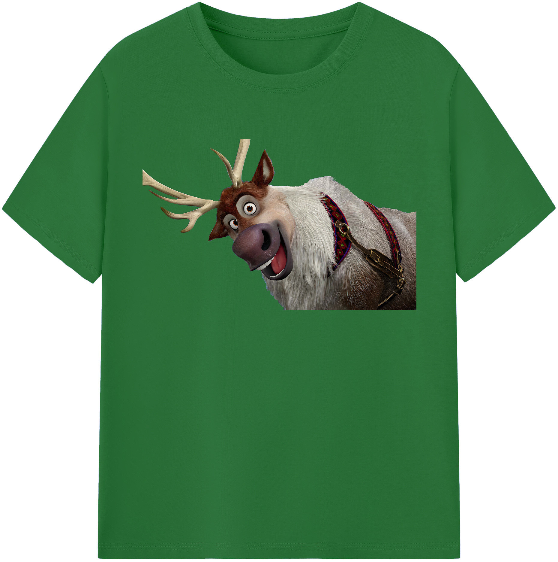 （画像用） アナと雪の女王 アンナ エルサ Frozen Anna Elsa 綿100％半袖Tシャツ（フロントプリント）
