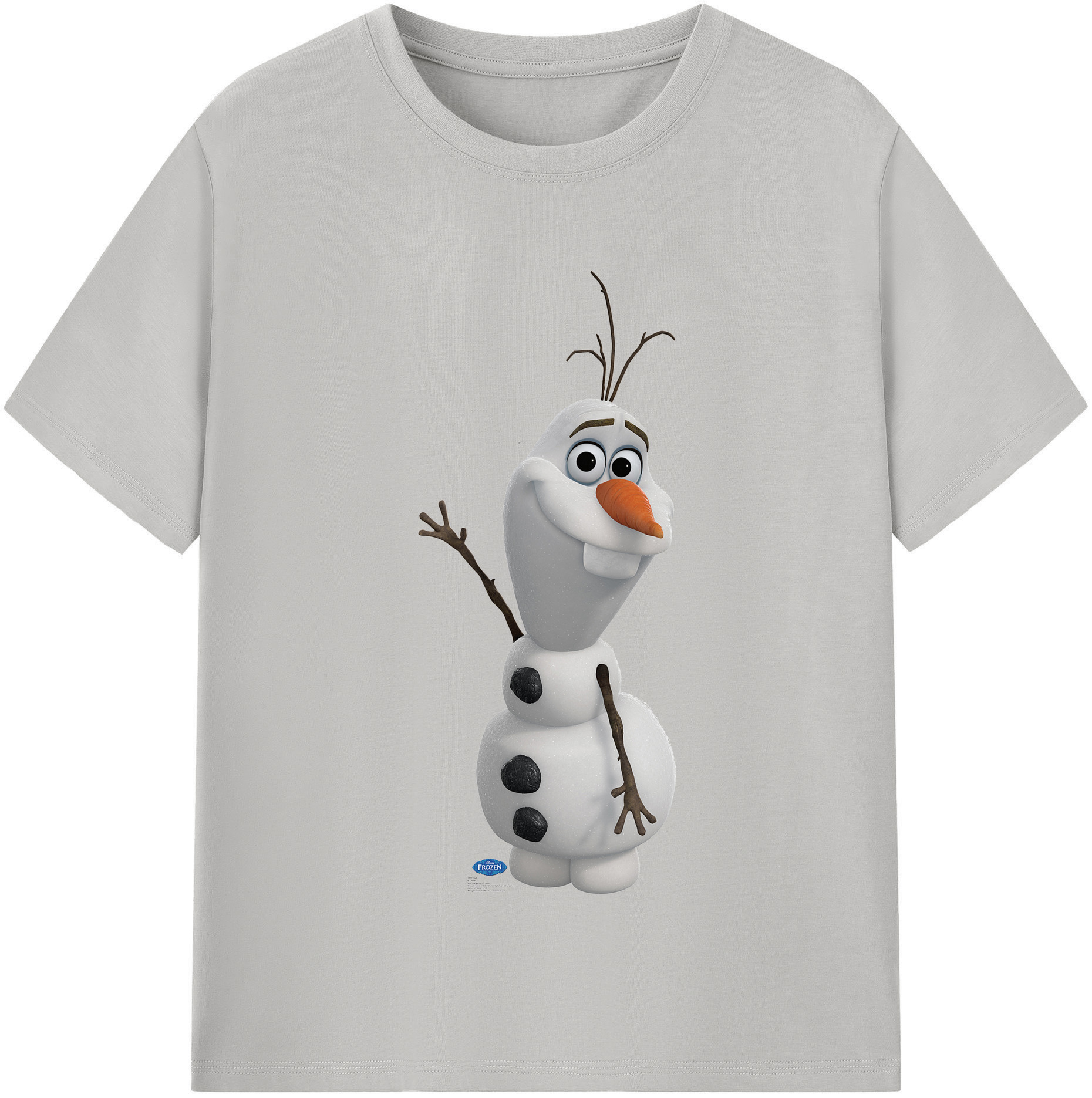 （画像用） アナと雪の女王 アンナ エルサ Frozen Anna Elsa 綿100％半袖Tシャツ（フロントプリント）