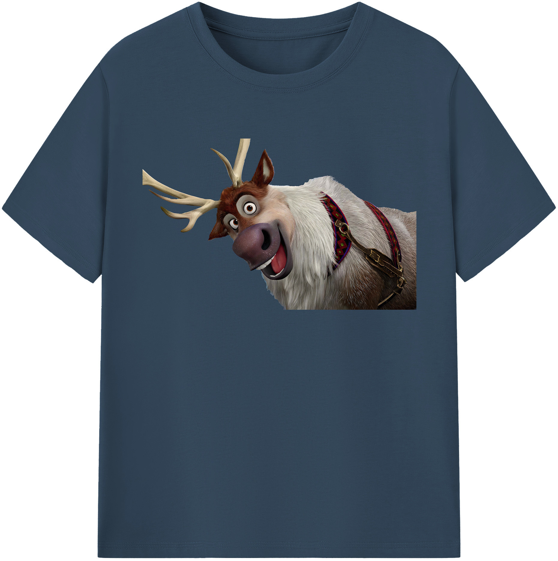 （画像用） アナと雪の女王 アンナ エルサ Frozen Anna Elsa 綿100％半袖Tシャツ（フロントプリント）