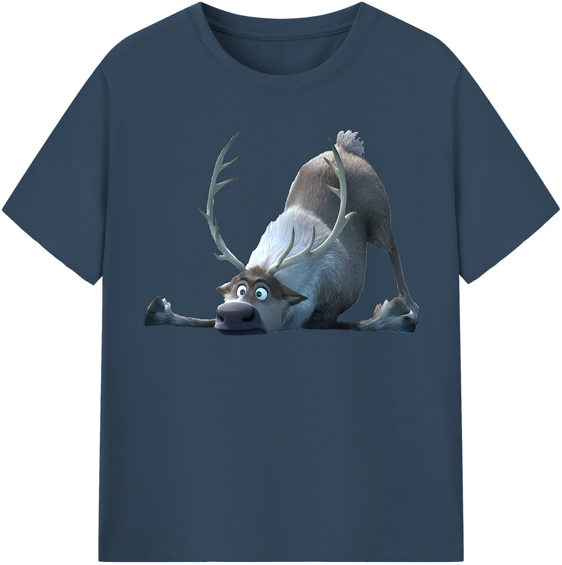 （画像用） アナと雪の女王 アンナ エルサ Frozen Anna Elsa 綿100％半袖Tシャツ（フロントプリント）