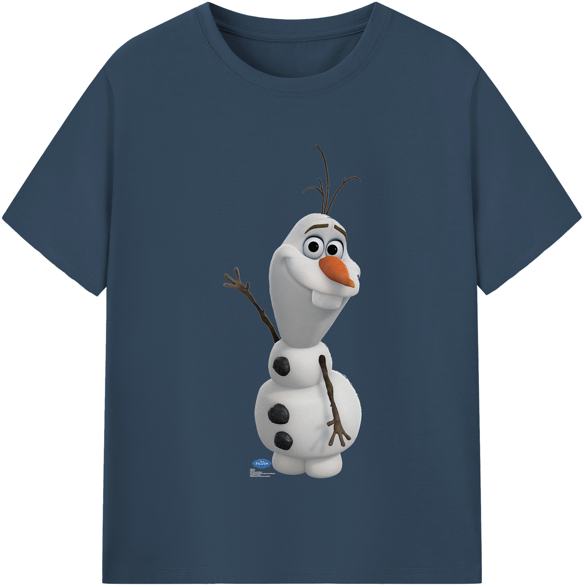 （画像用） アナと雪の女王 アンナ エルサ Frozen Anna Elsa 綿100％半袖Tシャツ（フロントプリント）