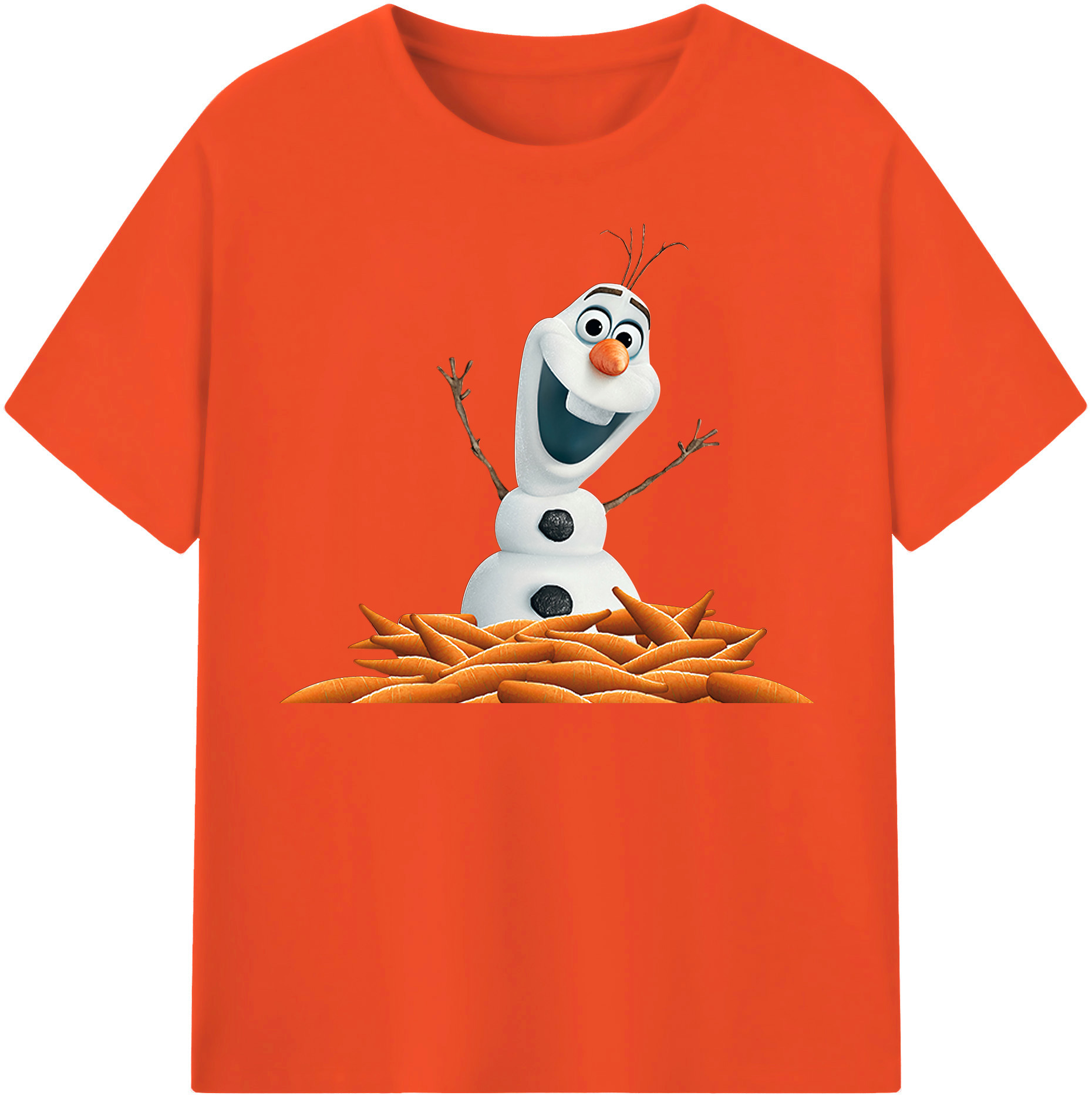 （画像用） アナと雪の女王 アンナ エルサ Frozen Anna Elsa 綿100％半袖Tシャツ（フロントプリント）