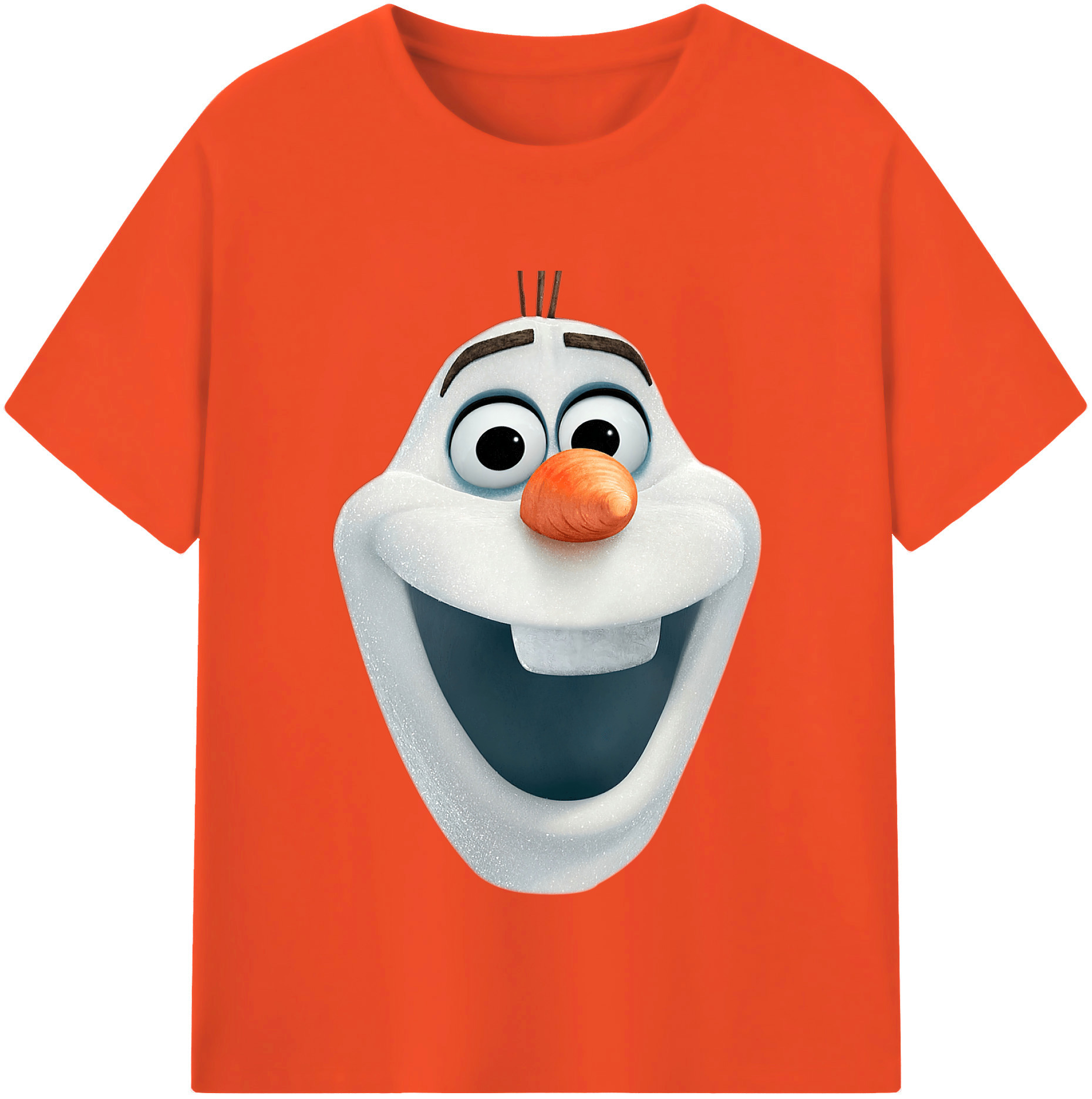 （画像用） アナと雪の女王 アンナ エルサ Frozen Anna Elsa 綿100％半袖Tシャツ（フロントプリント）