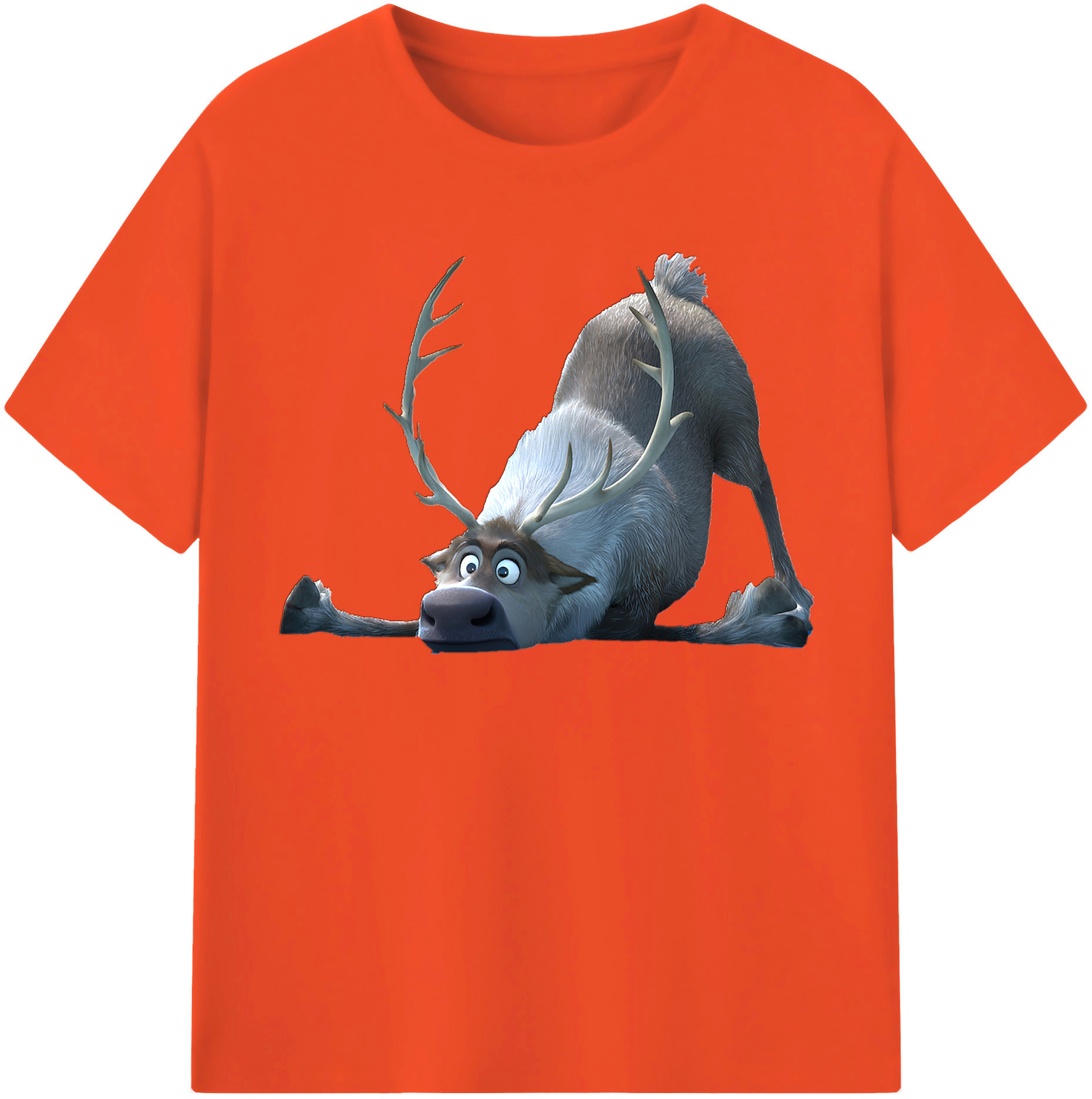 （画像用） アナと雪の女王 アンナ エルサ Frozen Anna Elsa 綿100％半袖Tシャツ（フロントプリント）