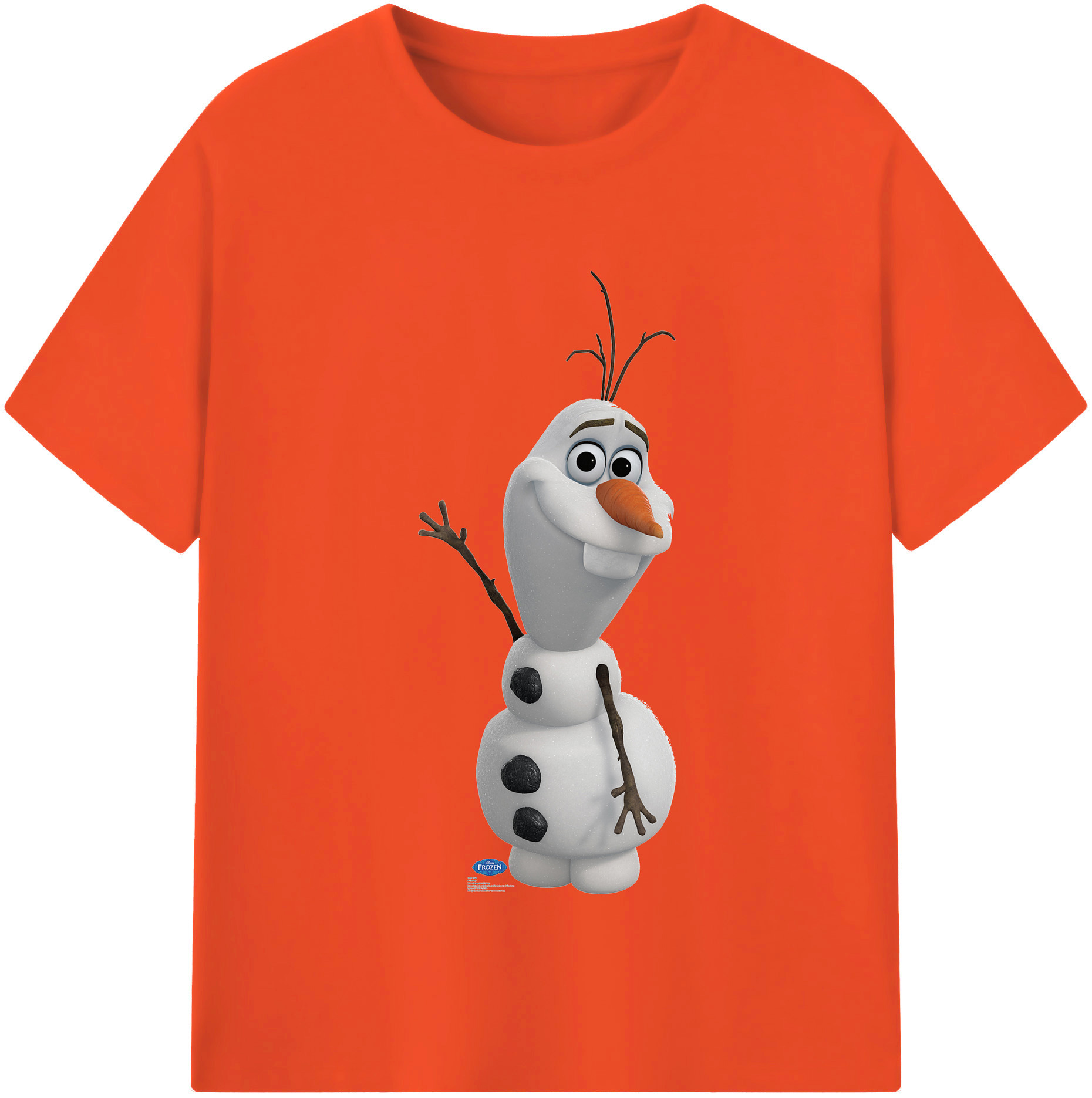 （画像用） アナと雪の女王 アンナ エルサ Frozen Anna Elsa 綿100％半袖Tシャツ（フロントプリント）