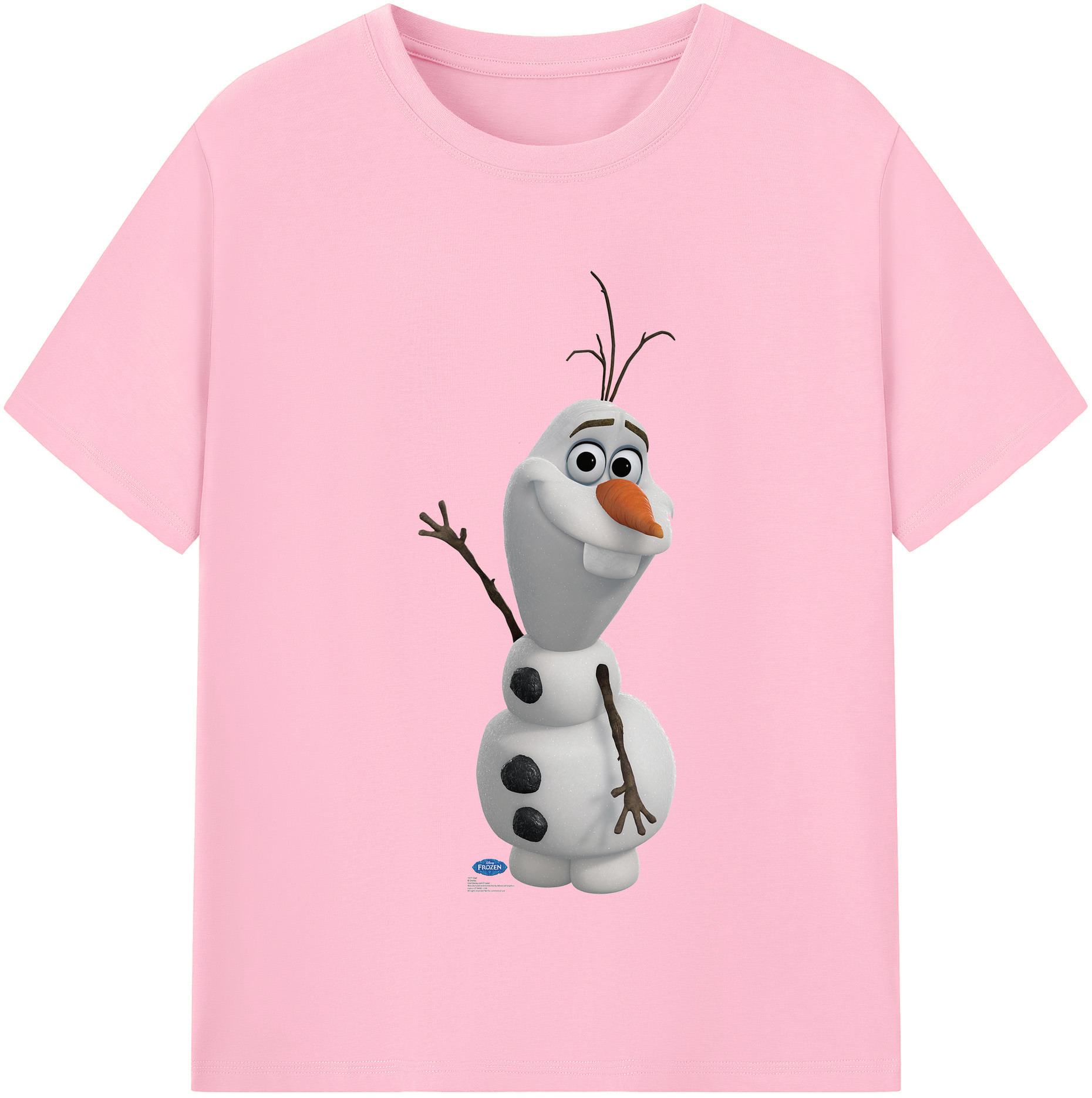 （画像用） アナと雪の女王 アンナ エルサ Frozen Anna Elsa 綿100％半袖Tシャツ（フロントプリント）