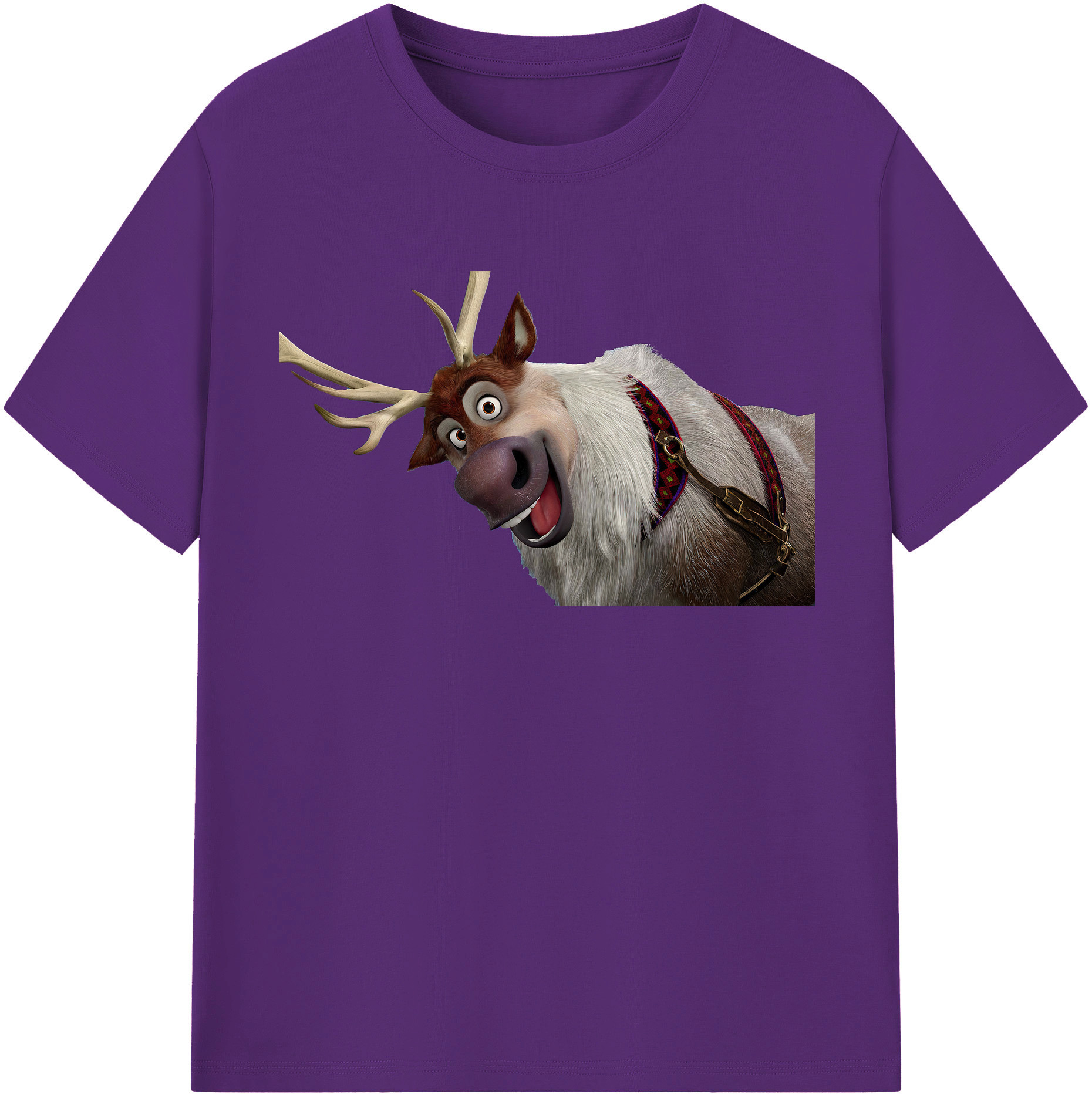 （画像用） アナと雪の女王 アンナ エルサ Frozen Anna Elsa 綿100％半袖Tシャツ（フロントプリント）