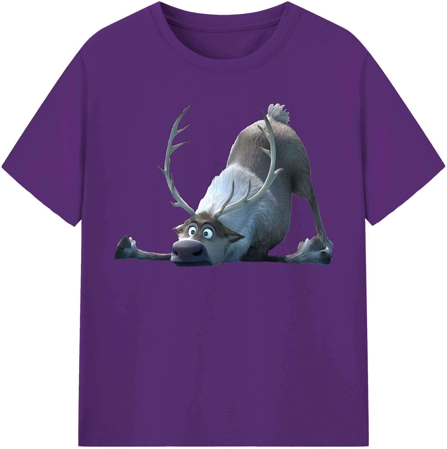 （画像用） アナと雪の女王 アンナ エルサ Frozen Anna Elsa 綿100％半袖Tシャツ（フロントプリント）