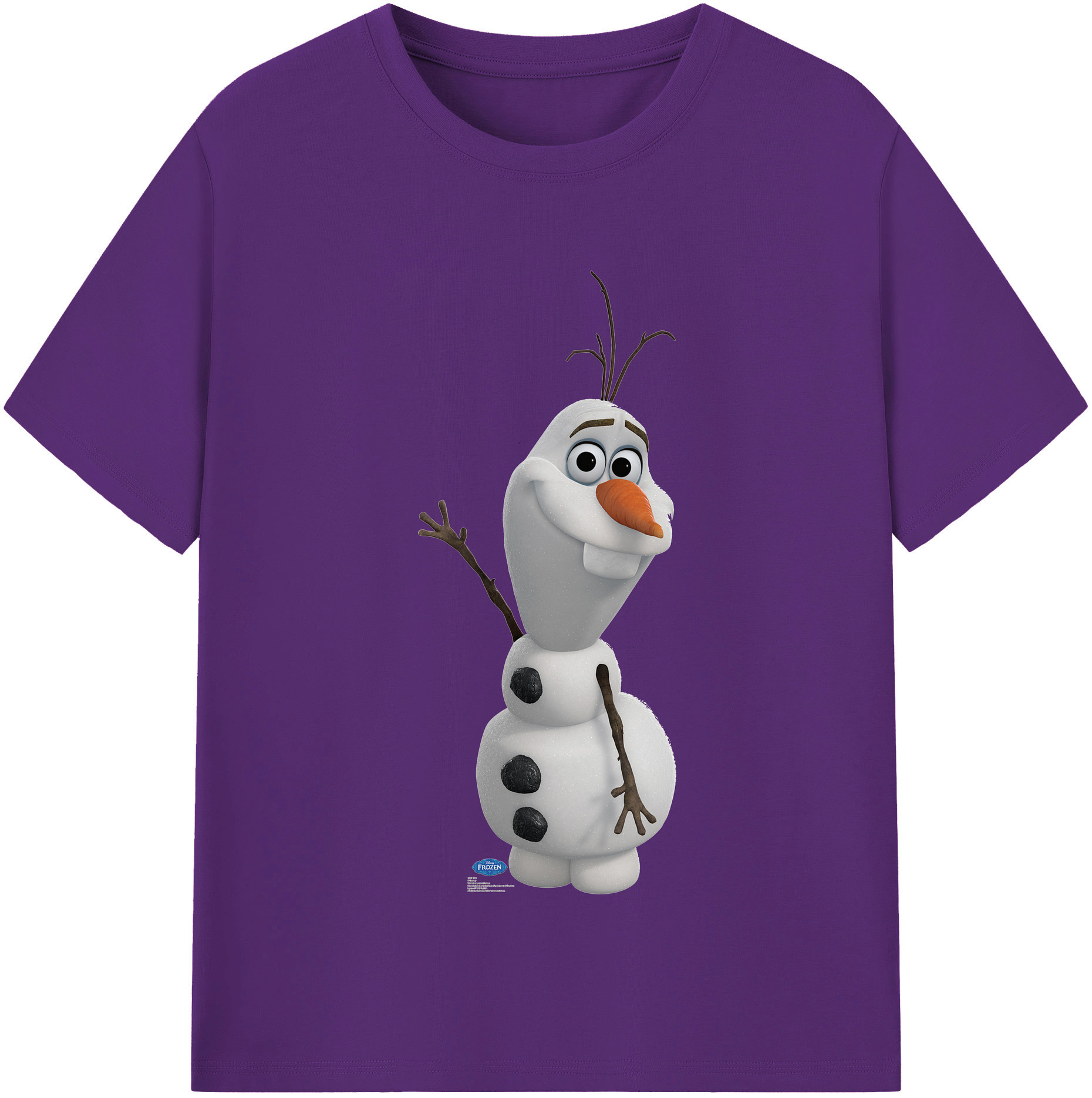 （画像用） アナと雪の女王 アンナ エルサ Frozen Anna Elsa 綿100％半袖Tシャツ（フロントプリント）