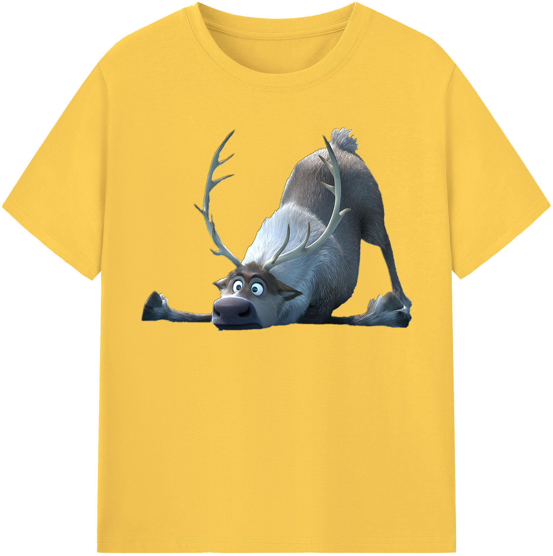（画像用） アナと雪の女王 アンナ エルサ Frozen Anna Elsa 綿100％半袖Tシャツ（フロントプリント）