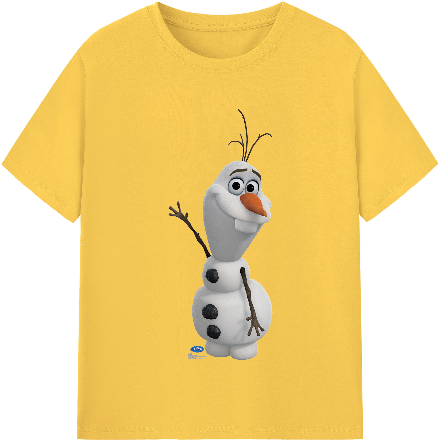 （画像用） アナと雪の女王 アンナ エルサ Frozen Anna Elsa 綿100％半袖Tシャツ（フロントプリント）