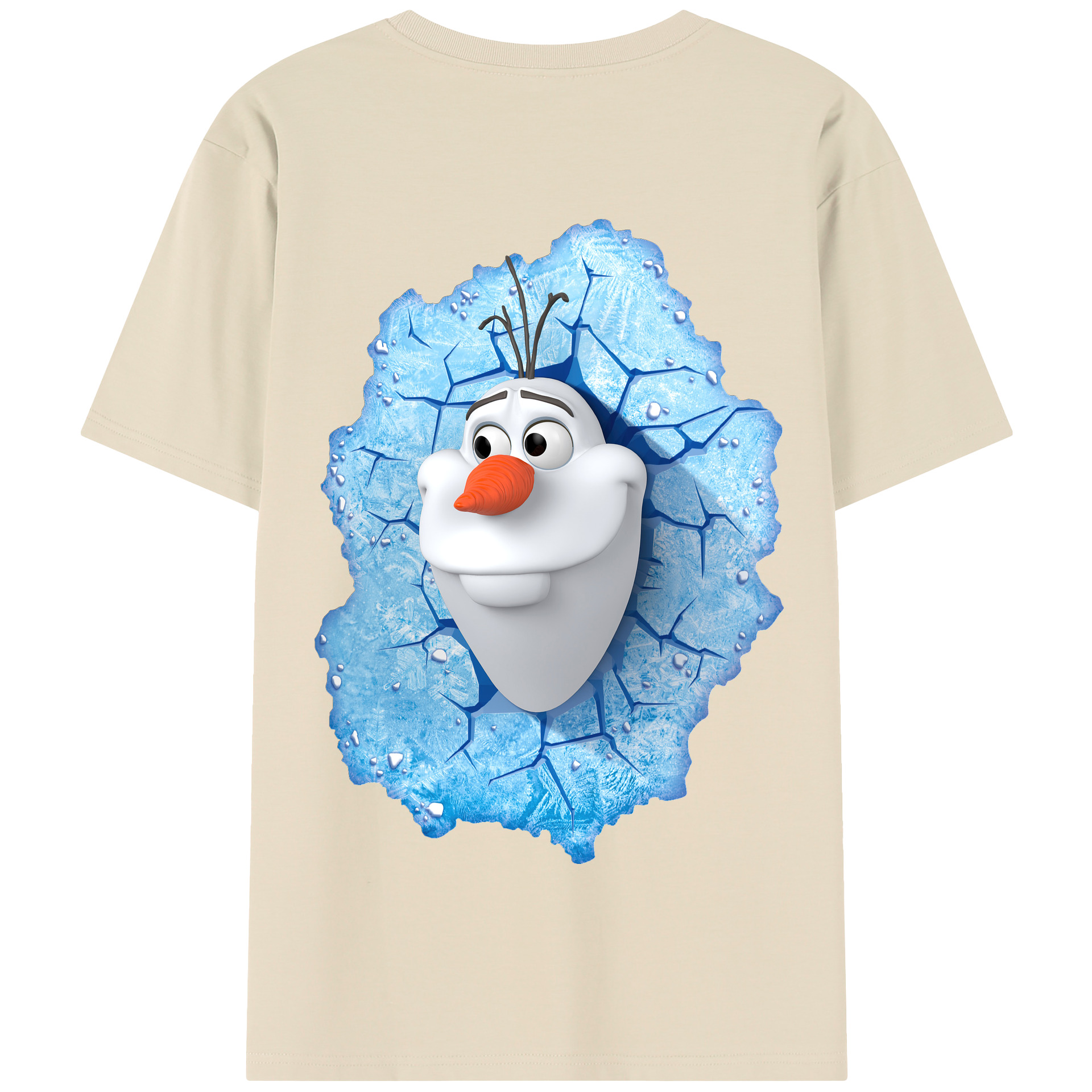 （画像用） アナと雪の女王 アンナ エルサ Frozen Anna Elsa 綿100％半袖Tシャツ（背面プリント）