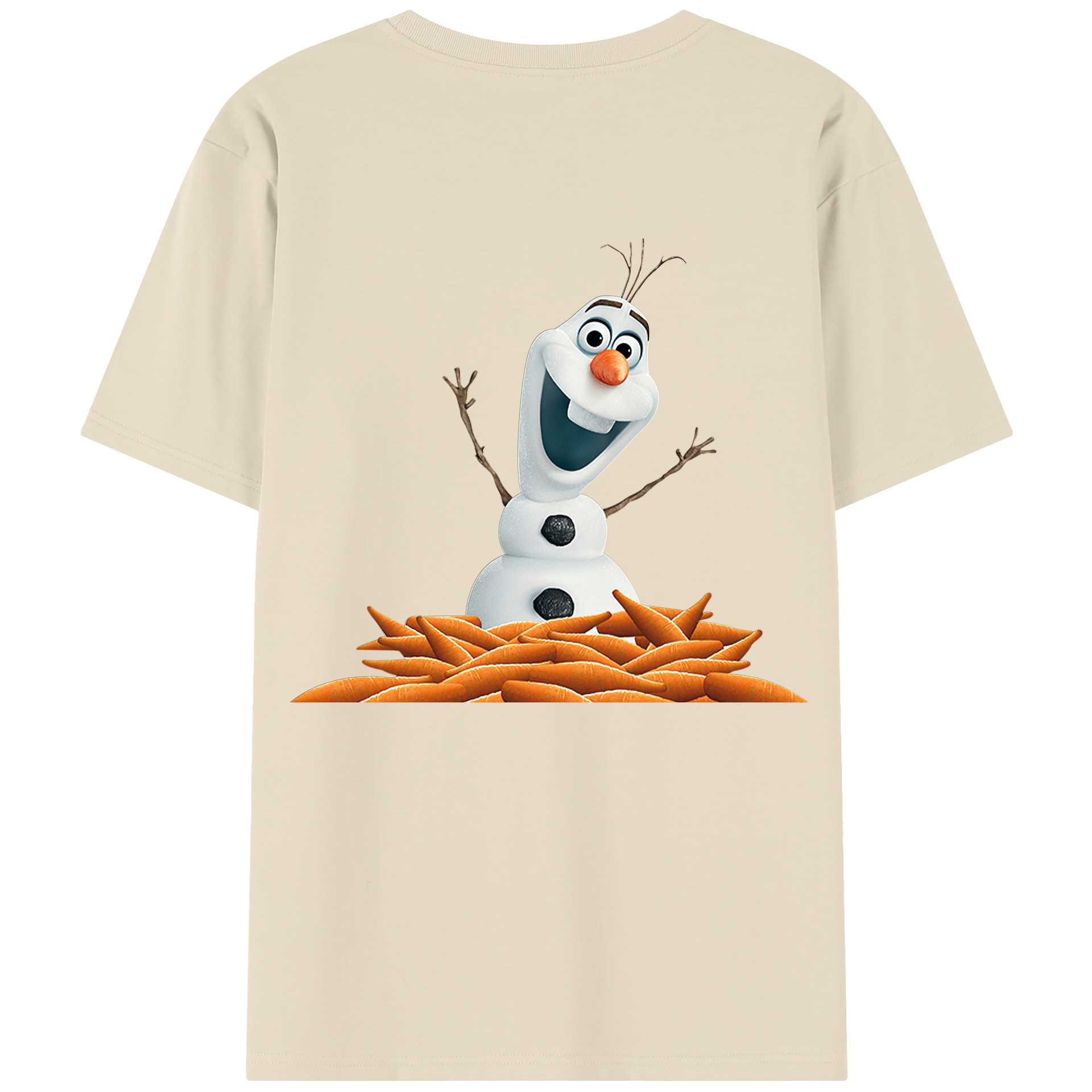 （画像用） アナと雪の女王 アンナ エルサ Frozen Anna Elsa 綿100％半袖Tシャツ（背面プリント）