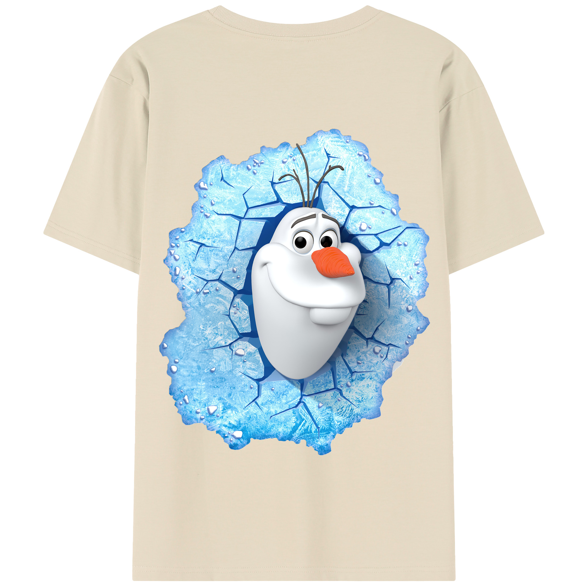 （画像用） アナと雪の女王 アンナ エルサ Frozen Anna Elsa 綿100％半袖Tシャツ（背面プリント）