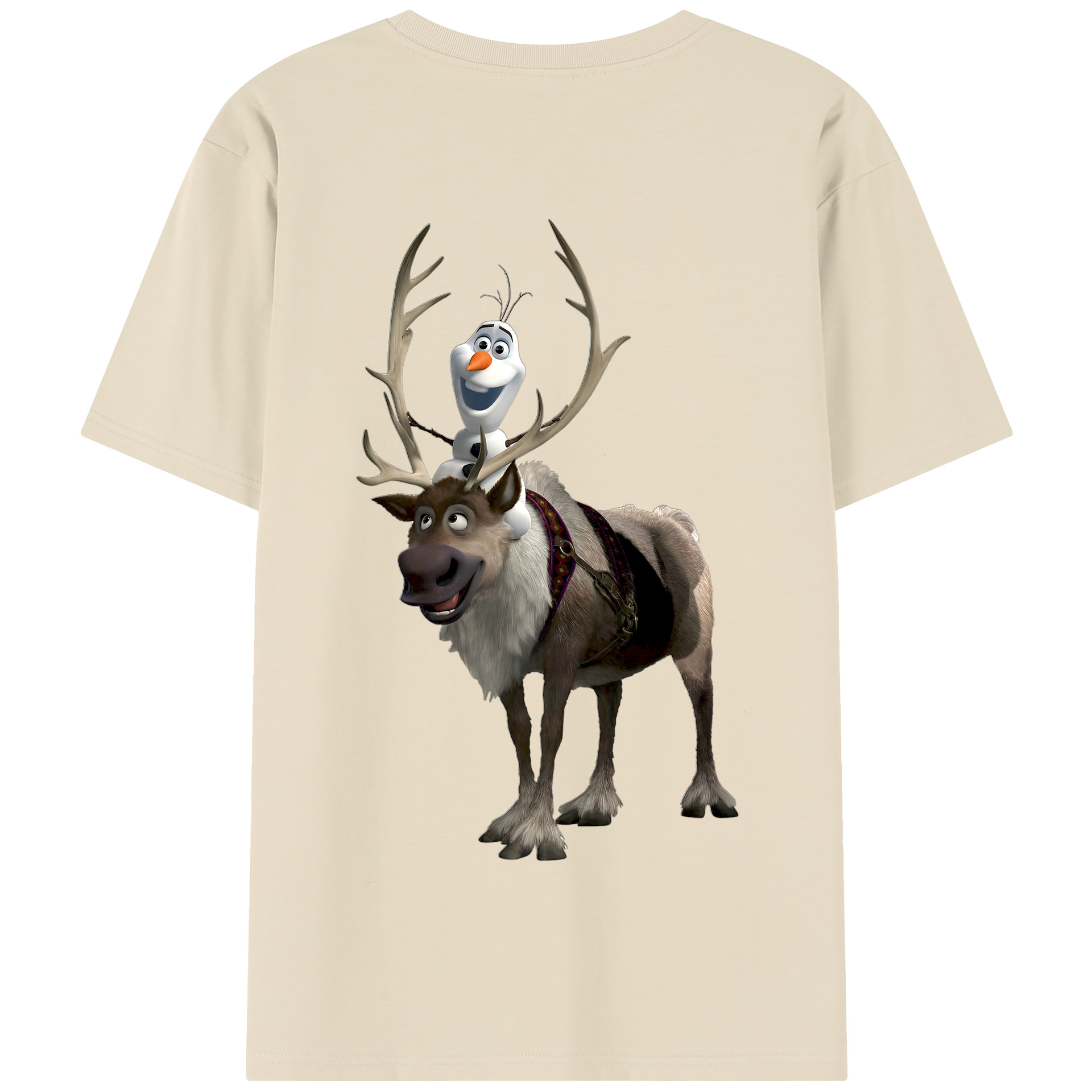 （画像用） アナと雪の女王 アンナ エルサ Frozen Anna Elsa 綿100％半袖Tシャツ（背面プリント）