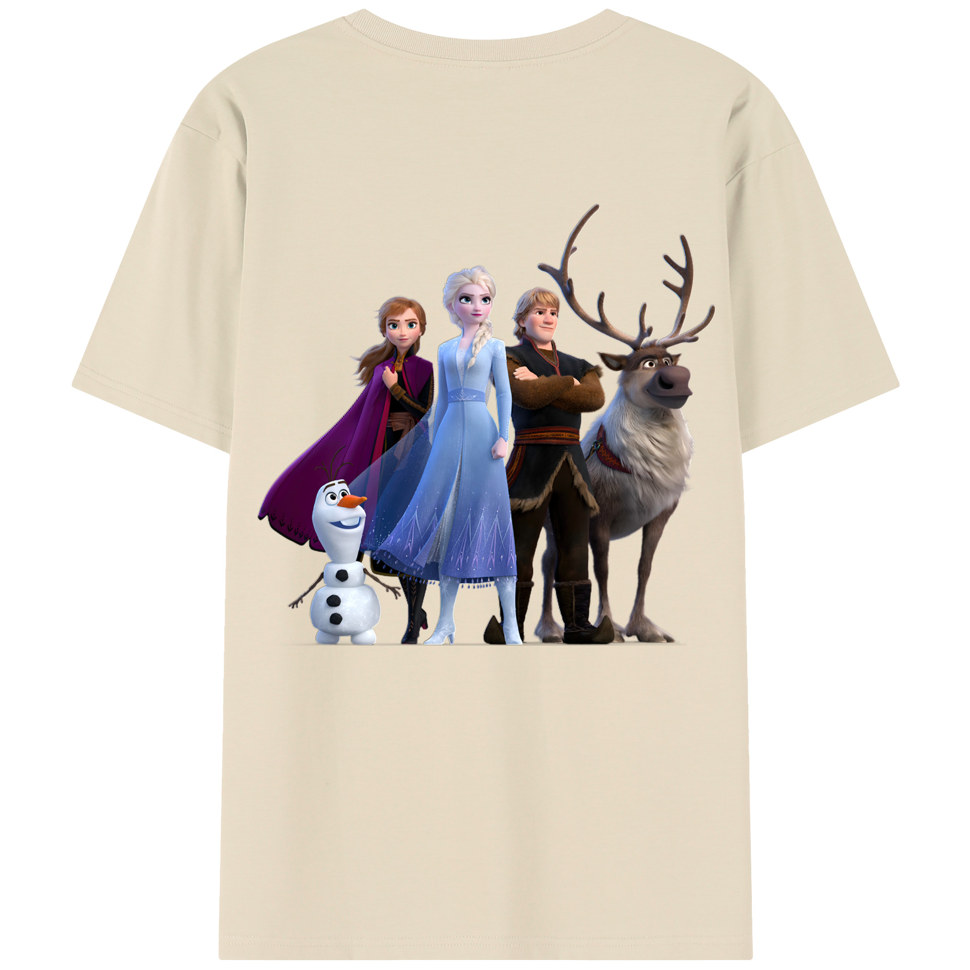 （画像用） アナと雪の女王 アンナ エルサ Frozen Anna Elsa 綿100％半袖Tシャツ（背面プリント）