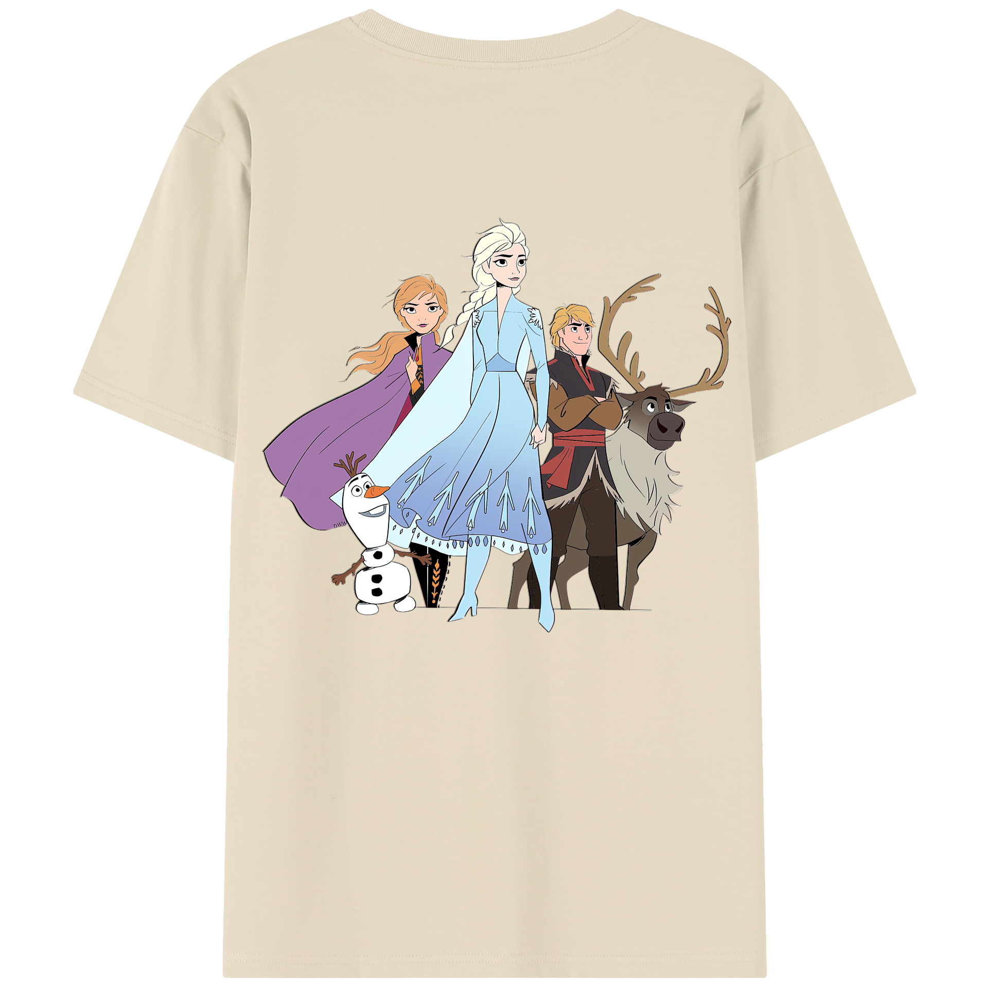 （画像用） アナと雪の女王 アンナ エルサ Frozen Anna Elsa 綿100％半袖Tシャツ（背面プリント）