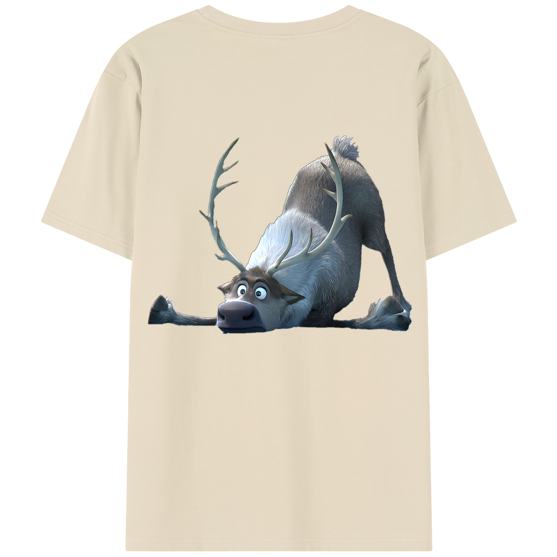 （画像用） アナと雪の女王 アンナ エルサ Frozen Anna Elsa 綿100％半袖Tシャツ（背面プリント）