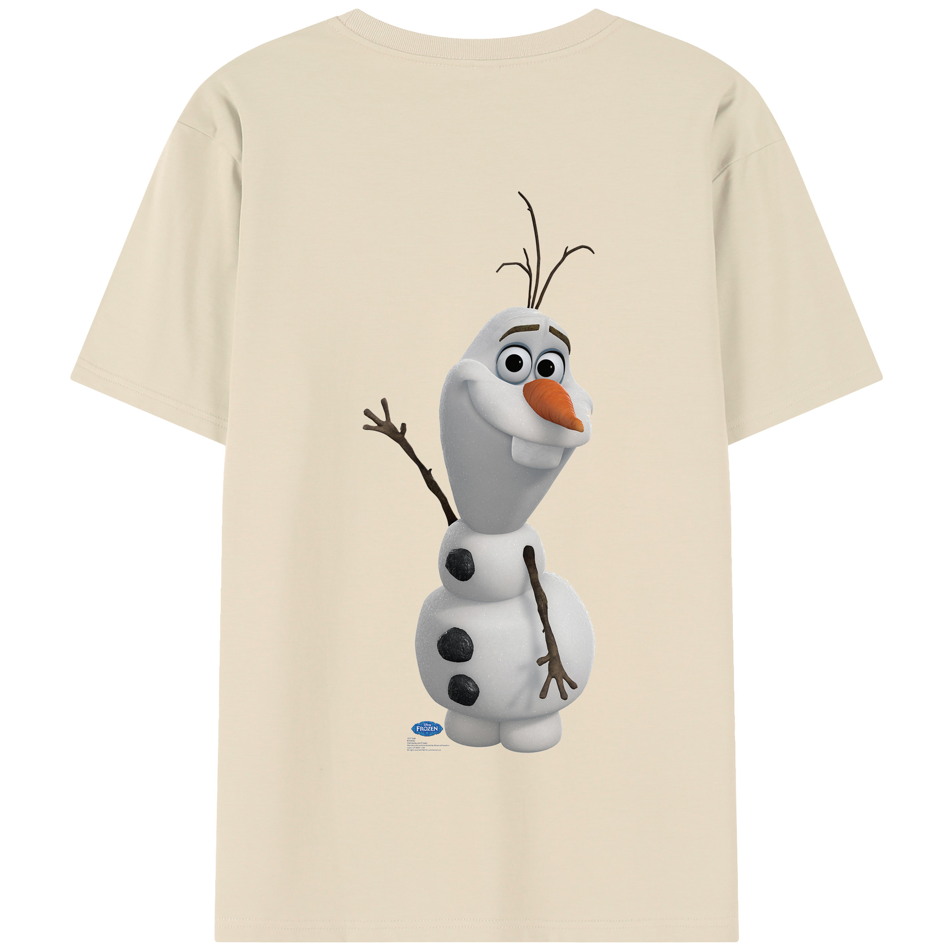 （画像用） アナと雪の女王 アンナ エルサ Frozen Anna Elsa 綿100％半袖Tシャツ（背面プリント）