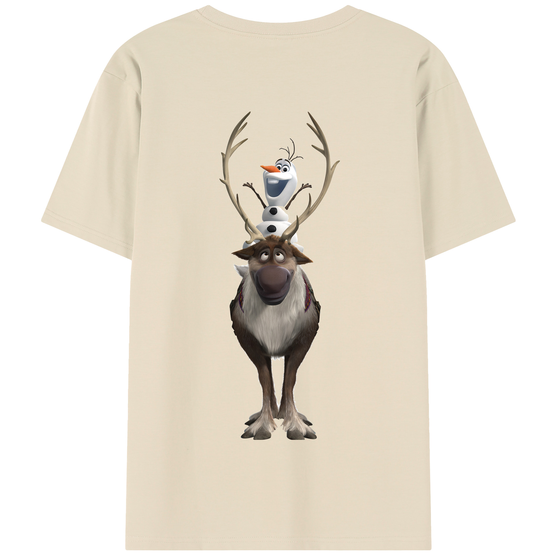 （画像用） アナと雪の女王 アンナ エルサ Frozen Anna Elsa 綿100％半袖Tシャツ（背面プリント）