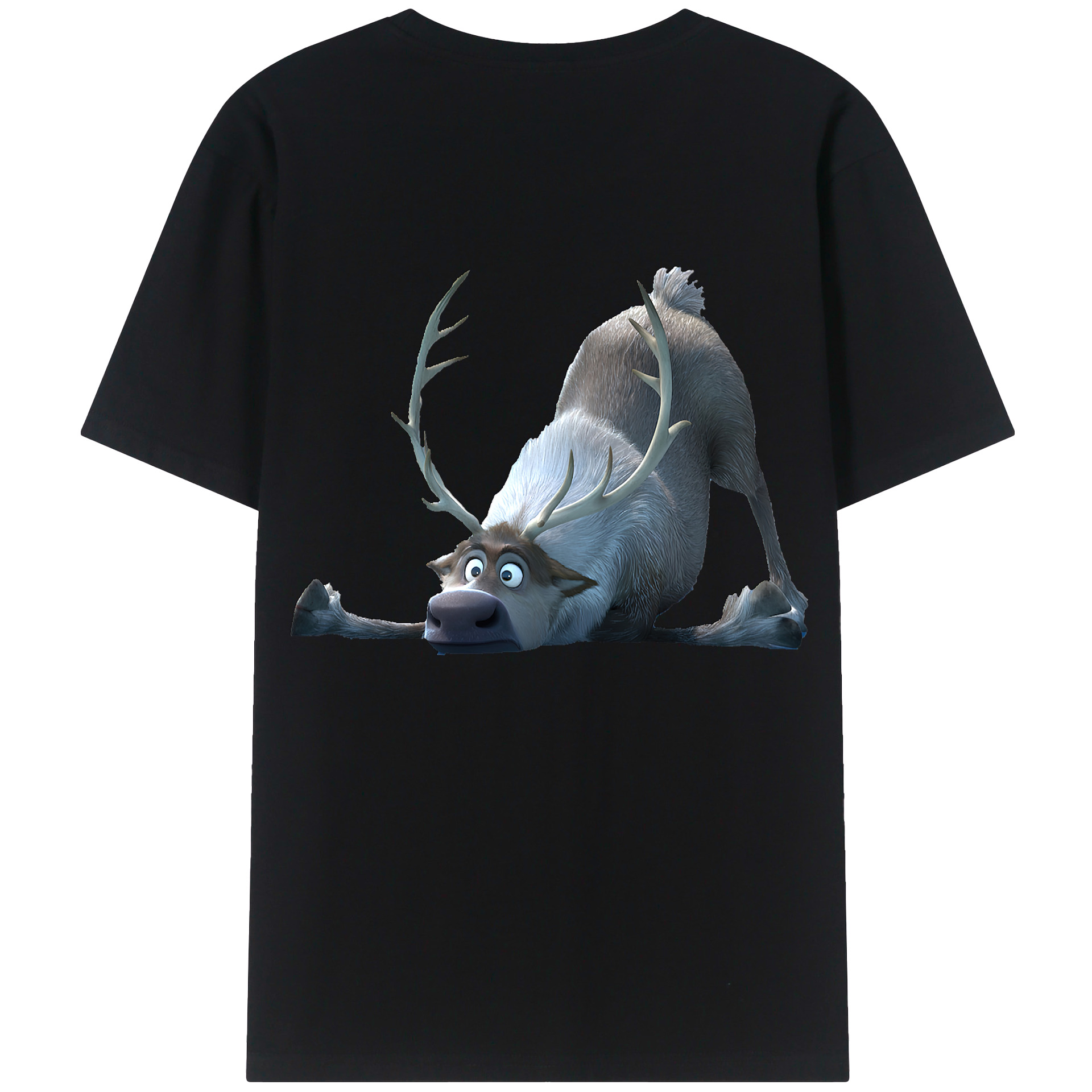（画像用） アナと雪の女王 アンナ エルサ Frozen Anna Elsa 綿100％半袖Tシャツ（背面プリント）