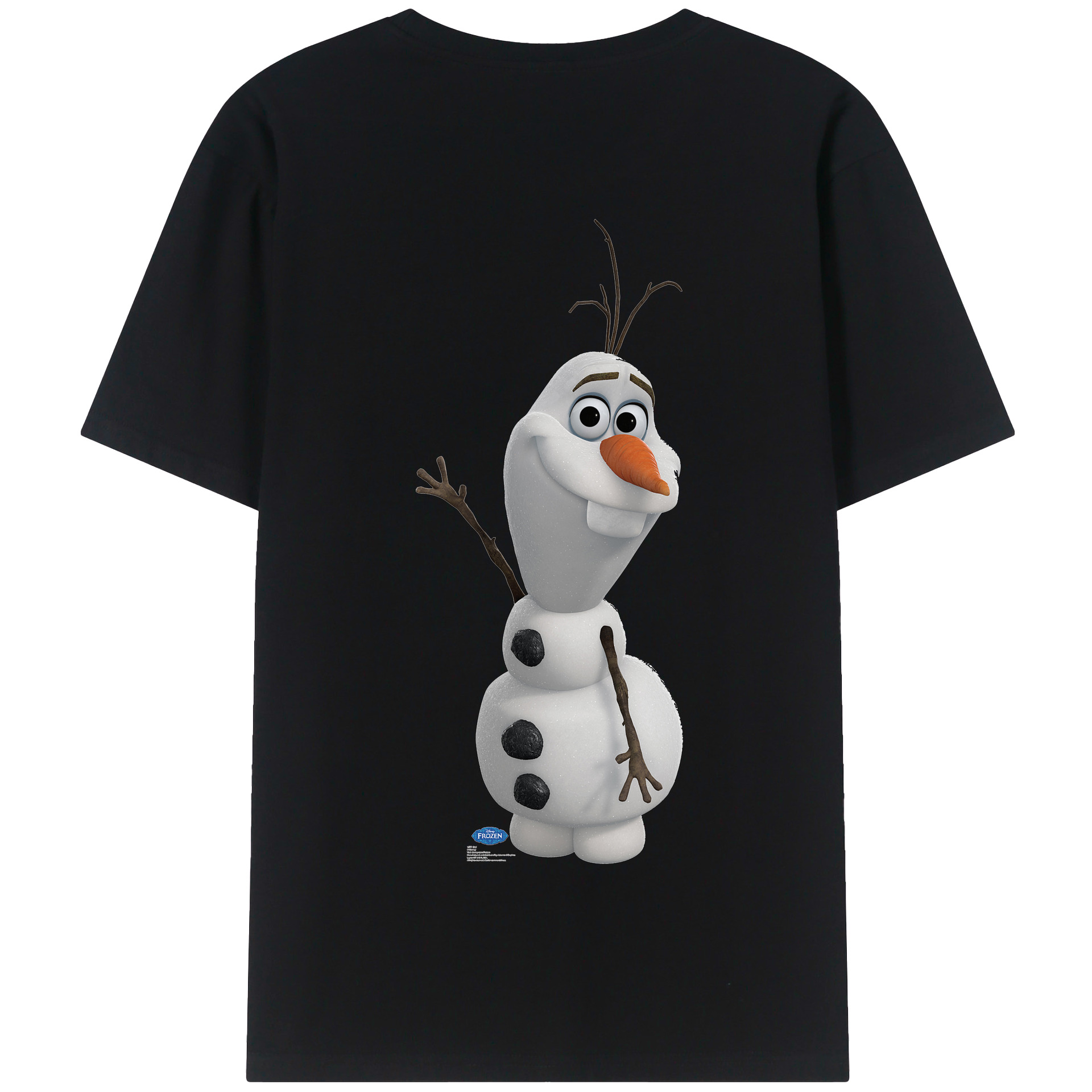 （画像用） アナと雪の女王 アンナ エルサ Frozen Anna Elsa 綿100％半袖Tシャツ（背面プリント）