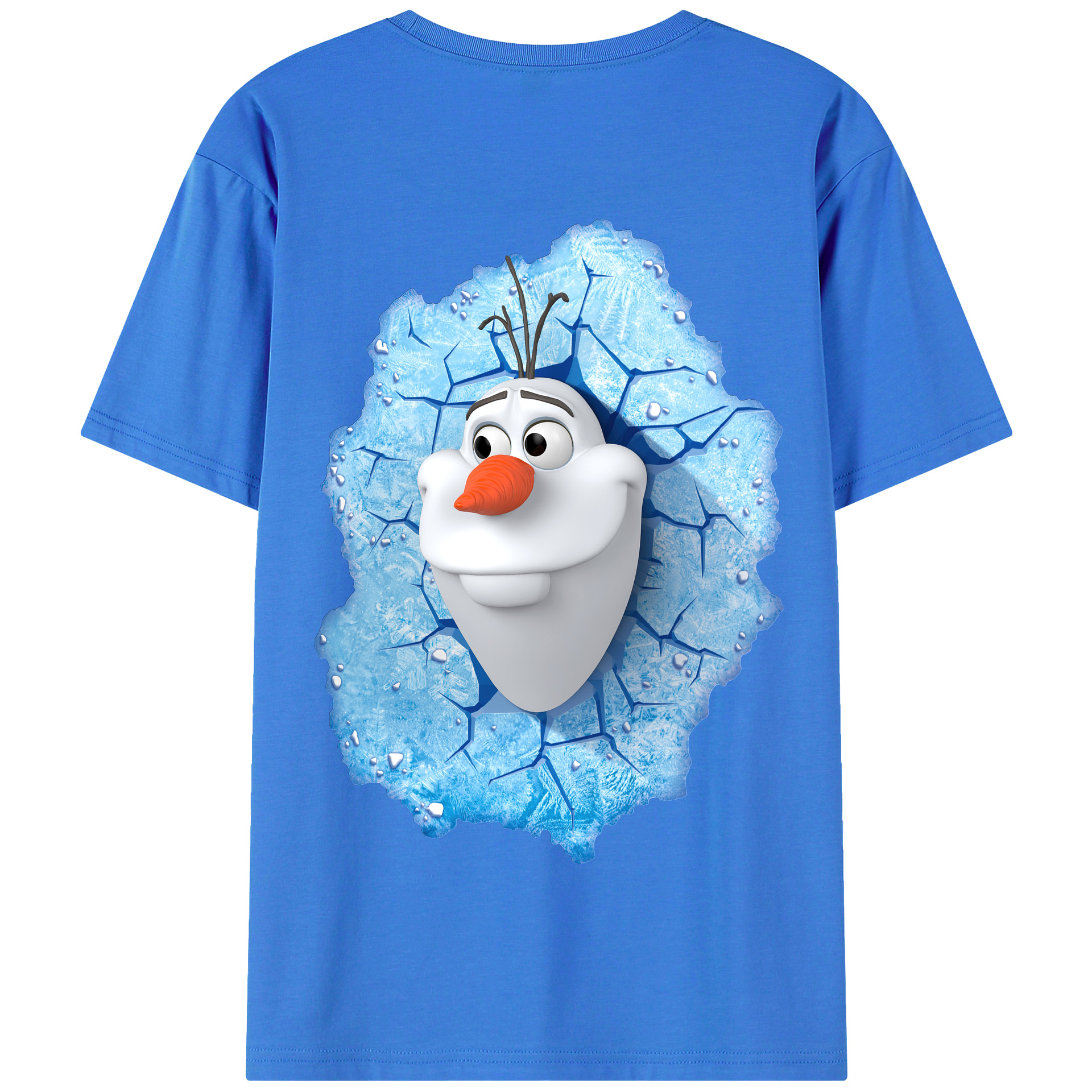 （画像用） アナと雪の女王 アンナ エルサ Frozen Anna Elsa 綿100％半袖Tシャツ（背面プリント）