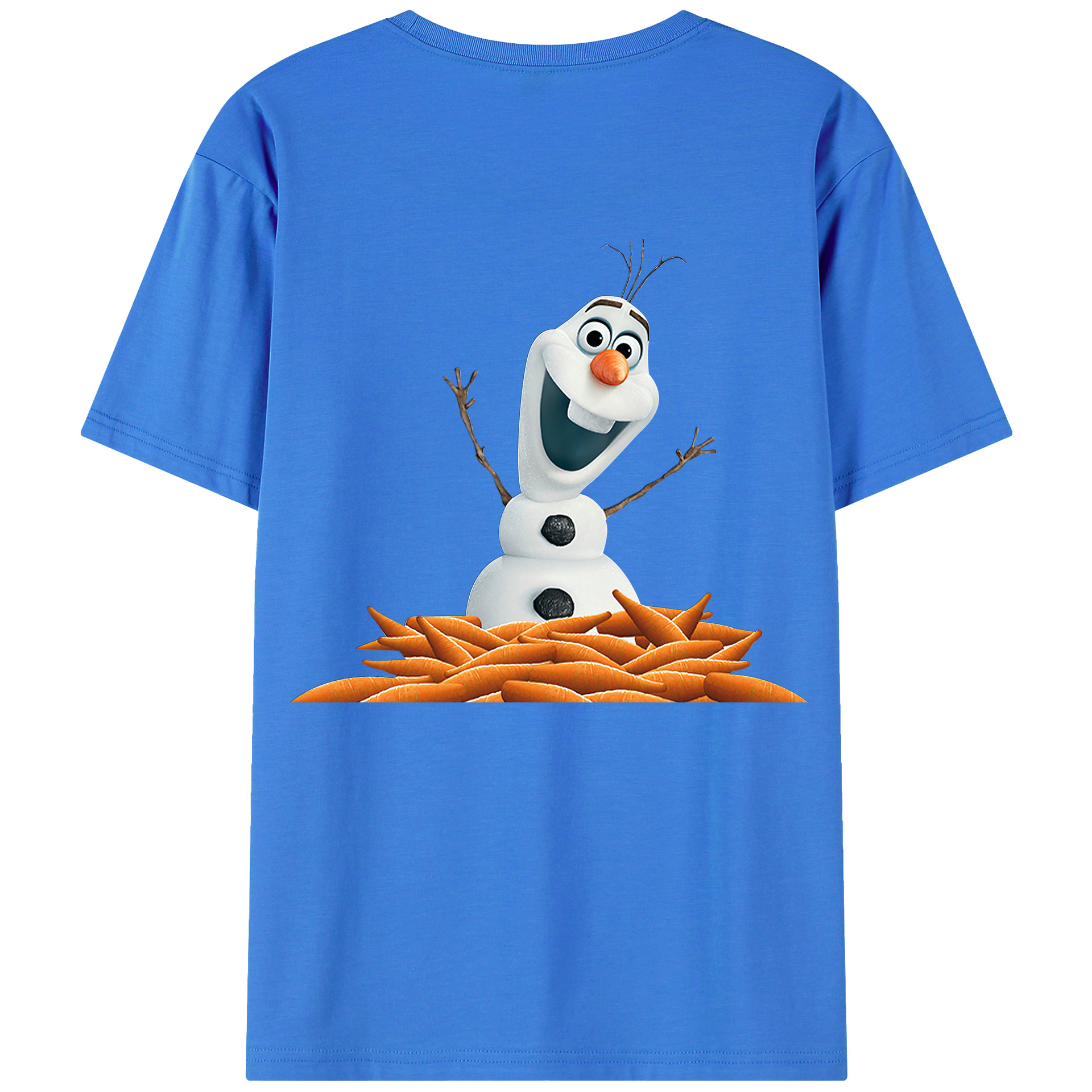 （画像用） アナと雪の女王 アンナ エルサ Frozen Anna Elsa 綿100％半袖Tシャツ（背面プリント）