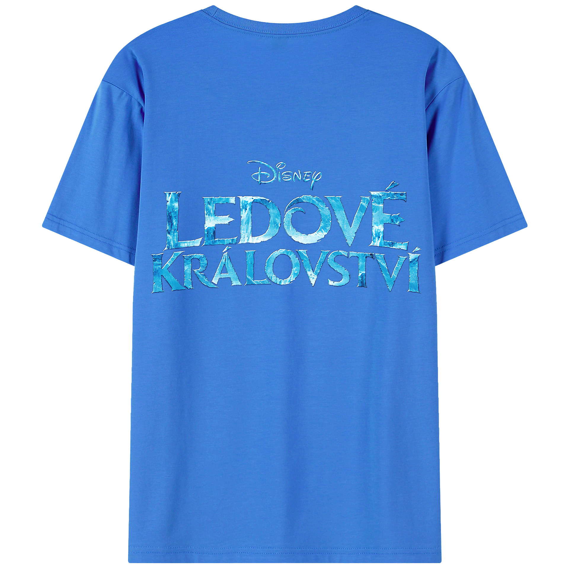 （画像用） アナと雪の女王 アンナ エルサ Frozen Anna Elsa 綿100％半袖Tシャツ（背面プリント）
