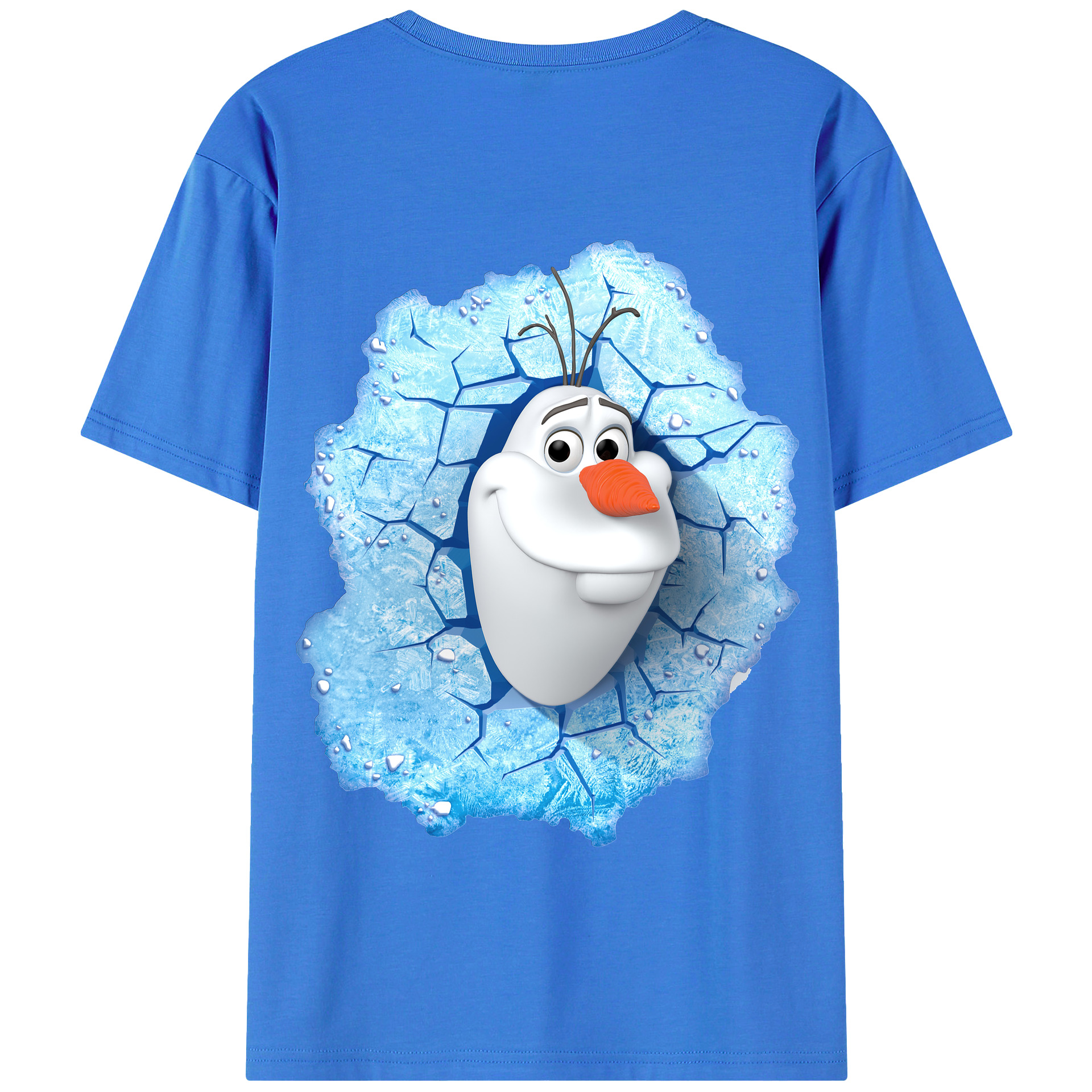 （画像用） アナと雪の女王 アンナ エルサ Frozen Anna Elsa 綿100％半袖Tシャツ（背面プリント）