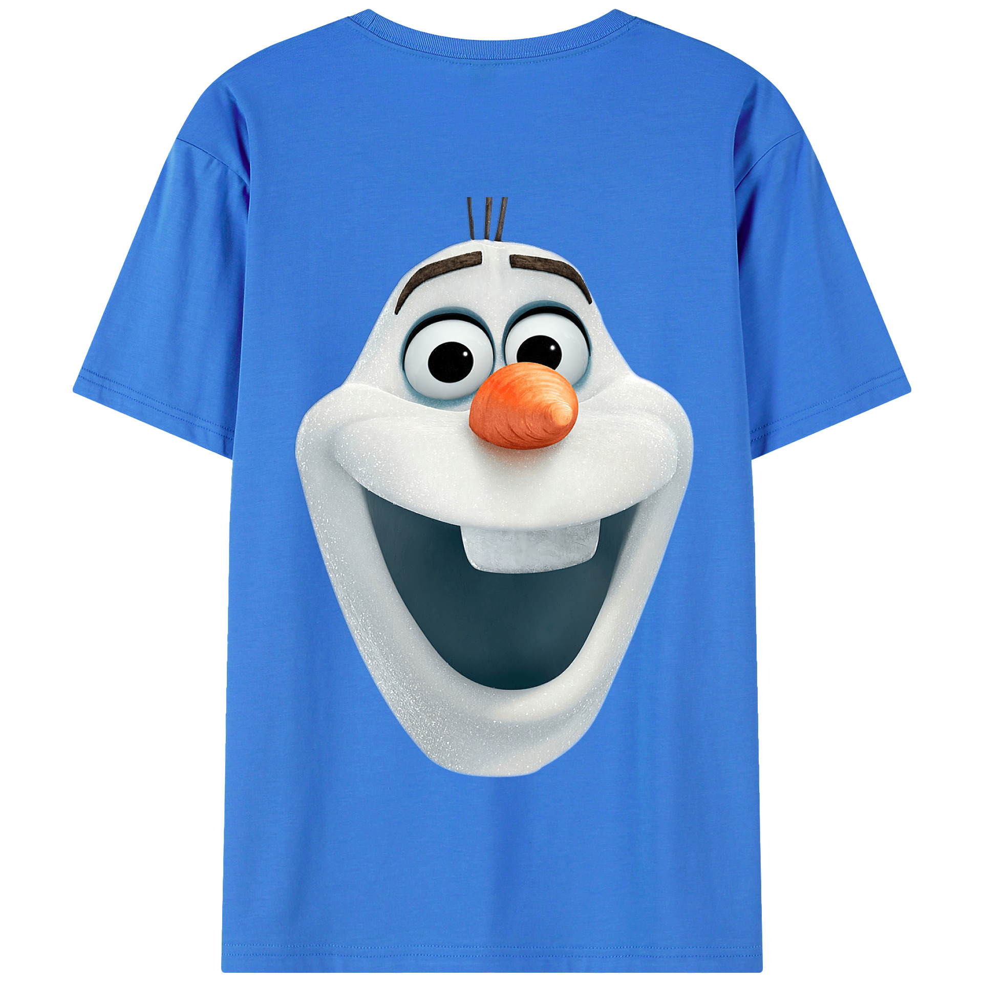 （画像用） アナと雪の女王 アンナ エルサ Frozen Anna Elsa 綿100％半袖Tシャツ（背面プリント）
