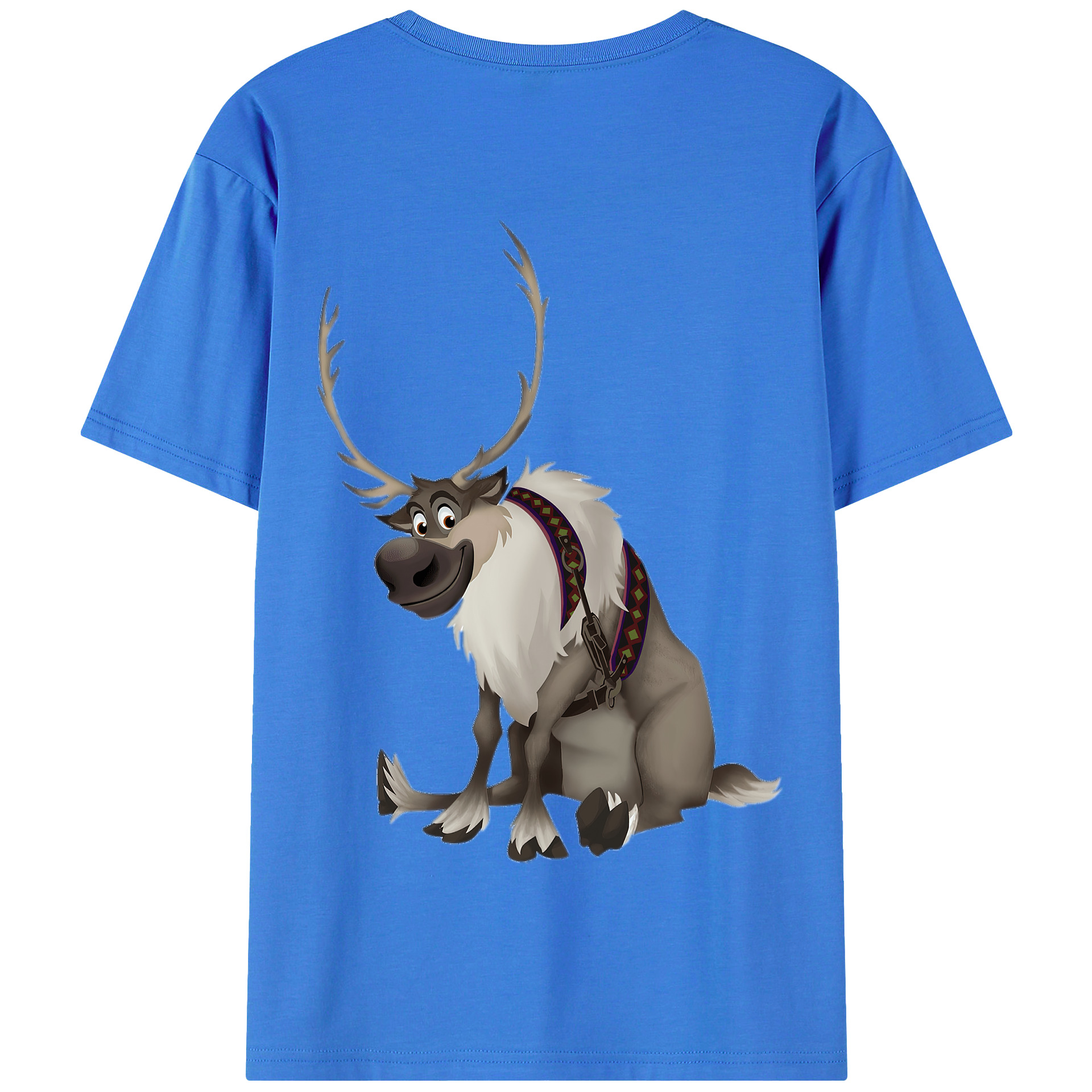 （画像用） アナと雪の女王 アンナ エルサ Frozen Anna Elsa 綿100％半袖Tシャツ（背面プリント）