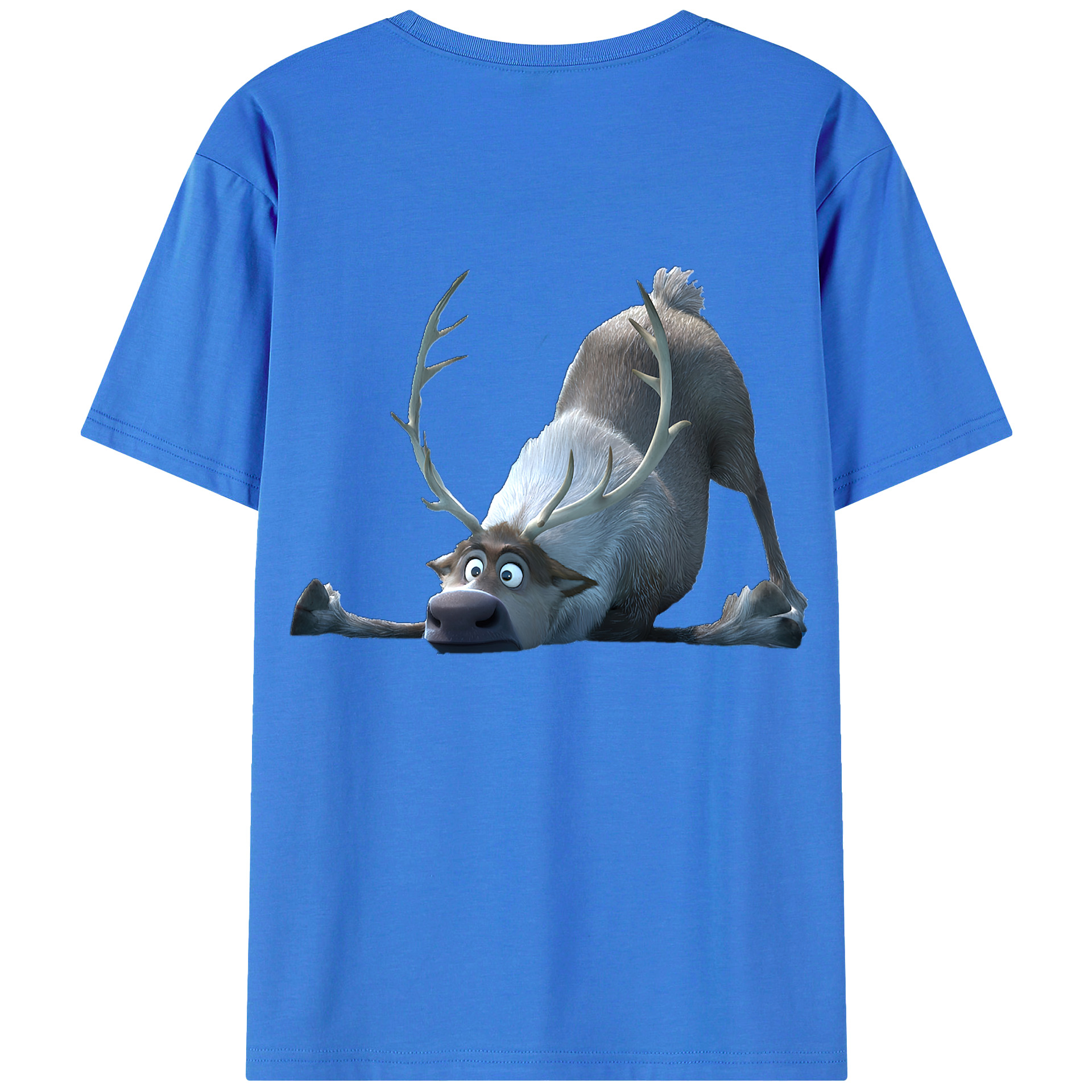 （画像用） アナと雪の女王 アンナ エルサ Frozen Anna Elsa 綿100％半袖Tシャツ（背面プリント）