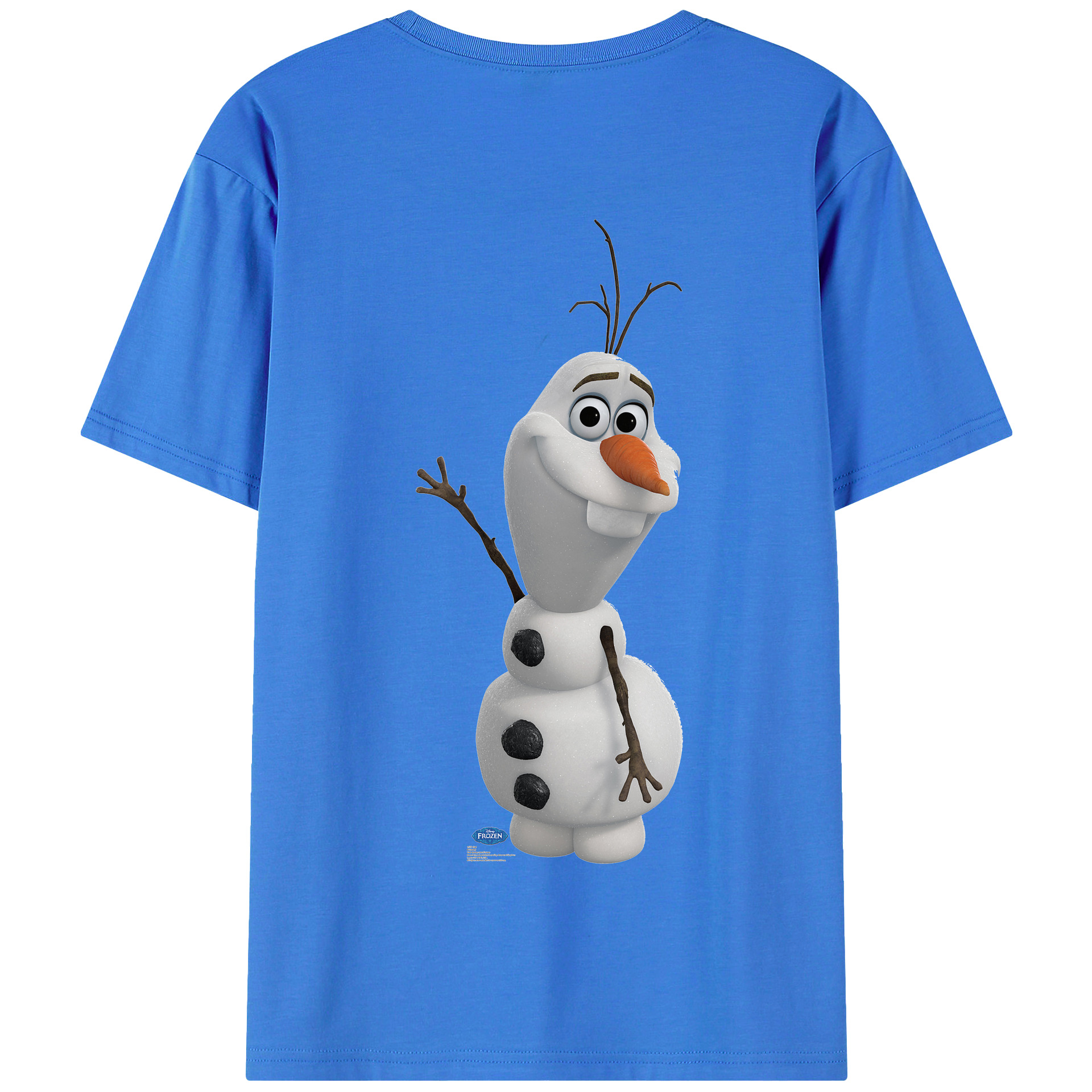 （画像用） アナと雪の女王 アンナ エルサ Frozen Anna Elsa 綿100％半袖Tシャツ（背面プリント）